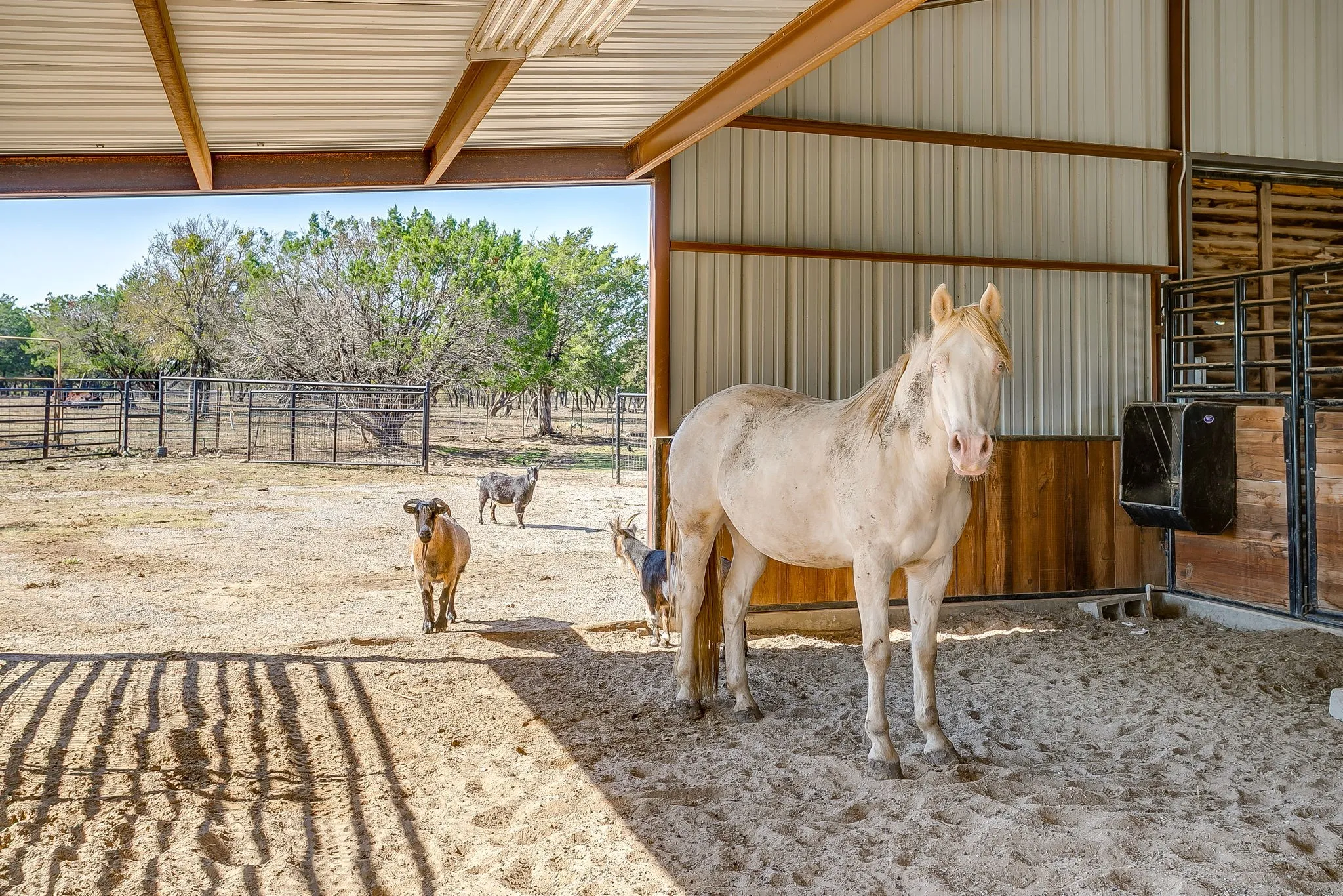 Single Family Residence For Sale in Parker County , 357 Wood Lake Road, Aledo, Texas 76008, 5 Bedroom, 5 Bathroom, 2 Garage spaces, 3,429 Sqft, built in 2005, Preowned, mls#21193604, Real Estate Agent in Aledo, Homes For Sale in Parker county, Homes For Sale in Aledo, Realtor in Aledo Texas, Real Estate Brokerage Independent Realty Texas, Luminita Cordes Realtor