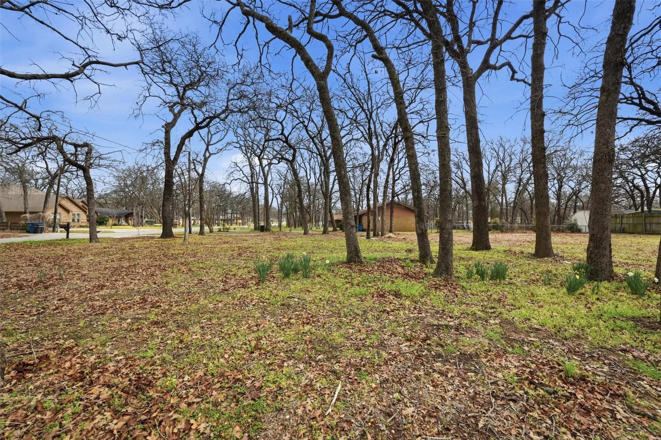 Improved Land For Sale in Denton County , 301 Ranch Road, Krugerville, Texas 76227, 0, 0, Garage spaces, 0 Sqft, built in 0, mls#21201741, Real Estate Agent in Krugerville, Homes For Sale in Denton county, Homes For Sale in Krugerville, Realtor in Krugerville Texas, Real Estate Brokerage Independent Realty Texas, Luminita Cordes Realtor