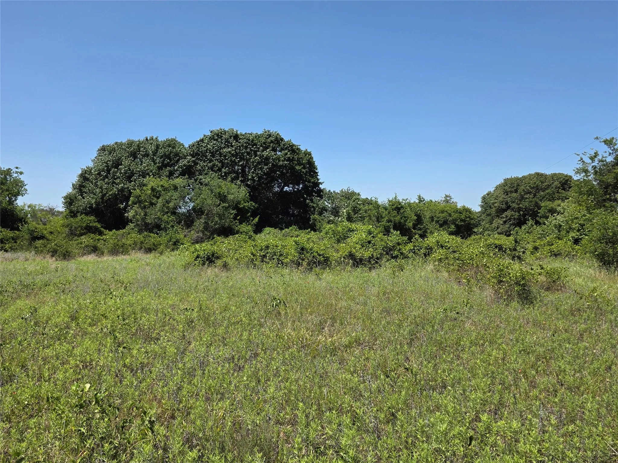 Ranch For Sale in Eastland County , 1000 County Road 375, Rising Star, Texas 76471, 0, 0, Garage spaces, 0 Sqft, built in 0, mls#21201769, Real Estate Agent in Rising Star, Homes For Sale in Eastland county, Homes For Sale in Rising Star, Realtor in Rising Star Texas, Real Estate Brokerage Independent Realty Texas, Luminita Cordes Realtor