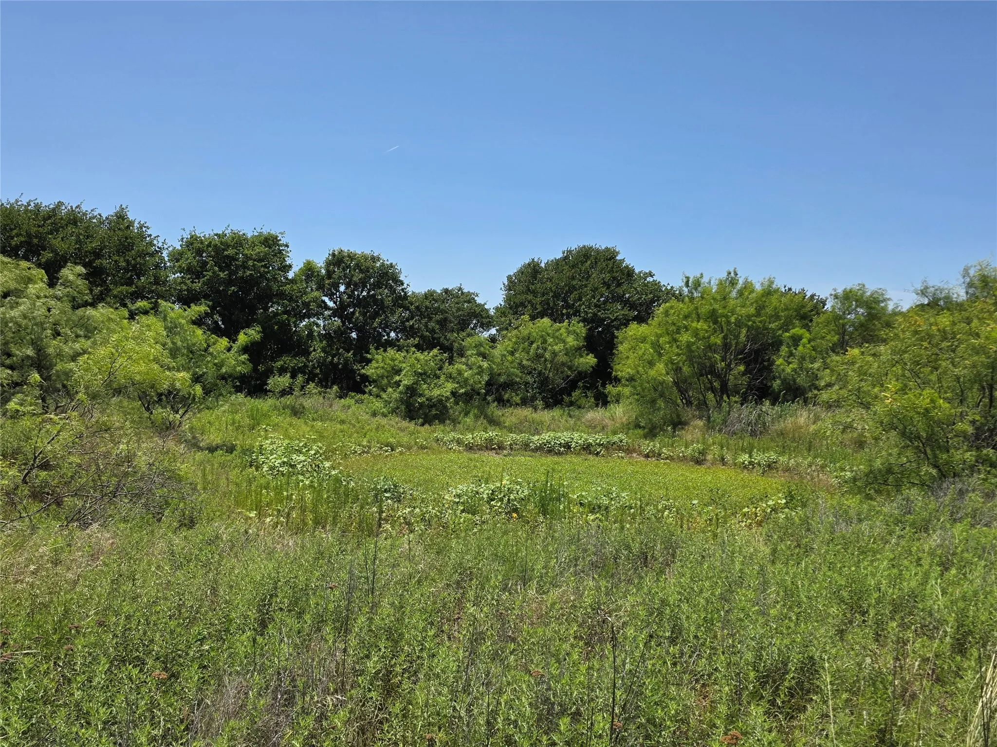 Ranch For Sale in Eastland County , 1000 County Road 375, Rising Star, Texas 76471, 0, 0, Garage spaces, 0 Sqft, built in 0, mls#21201769, Real Estate Agent in Rising Star, Homes For Sale in Eastland county, Homes For Sale in Rising Star, Realtor in Rising Star Texas, Real Estate Brokerage Independent Realty Texas, Luminita Cordes Realtor