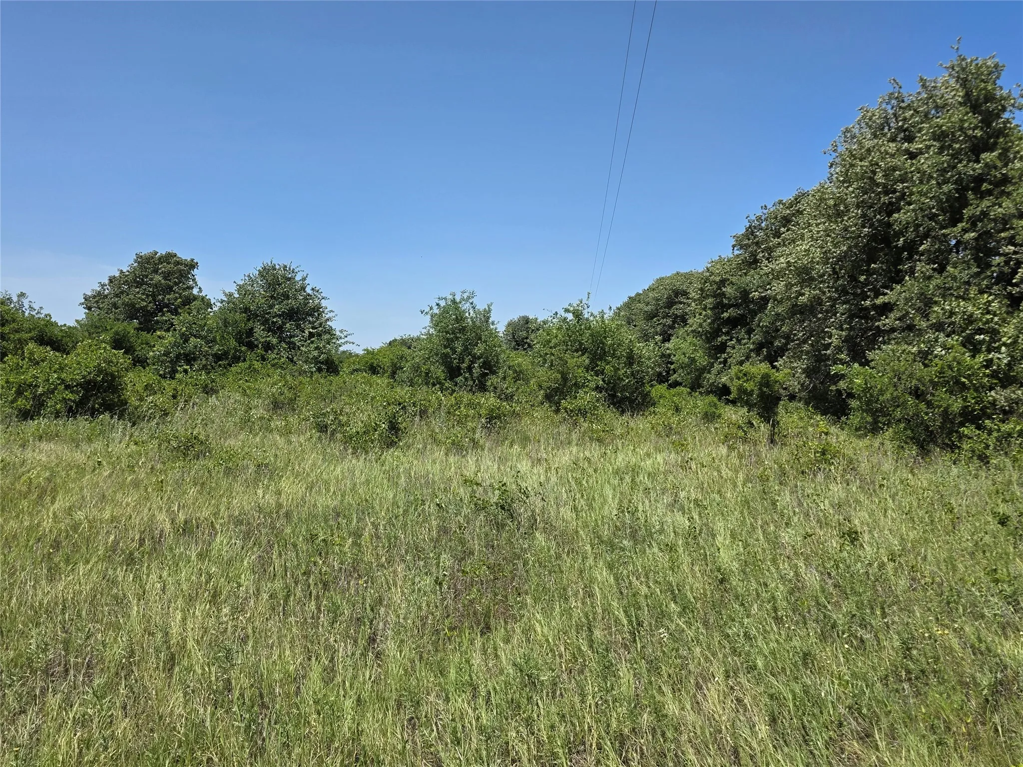 Ranch For Sale in Eastland County , 1000 County Road 375, Rising Star, Texas 76471, 0, 0, Garage spaces, 0 Sqft, built in 0, mls#21201769, Real Estate Agent in Rising Star, Homes For Sale in Eastland county, Homes For Sale in Rising Star, Realtor in Rising Star Texas, Real Estate Brokerage Independent Realty Texas, Luminita Cordes Realtor