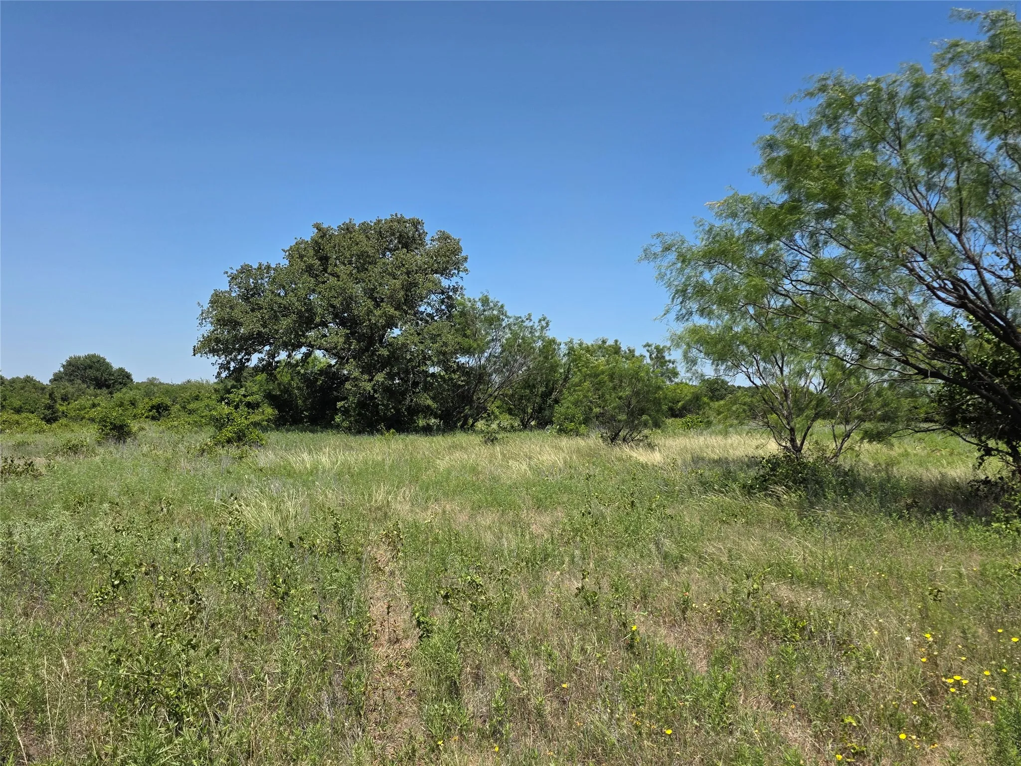 Ranch For Sale in Eastland County , 1000 County Road 375, Rising Star, Texas 76471, 0, 0, Garage spaces, 0 Sqft, built in 0, mls#21201769, Real Estate Agent in Rising Star, Homes For Sale in Eastland county, Homes For Sale in Rising Star, Realtor in Rising Star Texas, Real Estate Brokerage Independent Realty Texas, Luminita Cordes Realtor