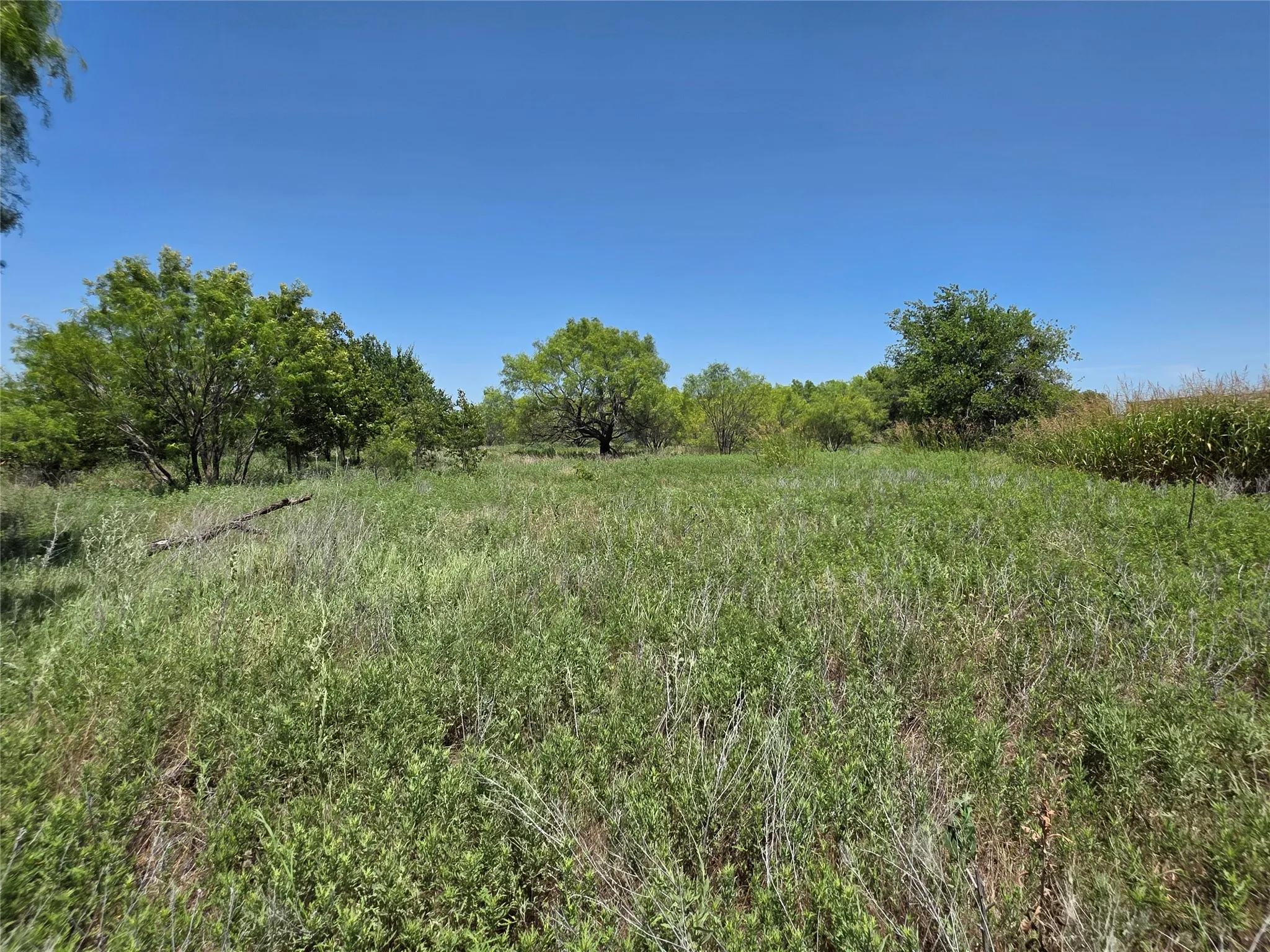 Ranch For Sale in Eastland County , 1000 County Road 375, Rising Star, Texas 76471, 0, 0, Garage spaces, 0 Sqft, built in 0, mls#21201769, Real Estate Agent in Rising Star, Homes For Sale in Eastland county, Homes For Sale in Rising Star, Realtor in Rising Star Texas, Real Estate Brokerage Independent Realty Texas, Luminita Cordes Realtor