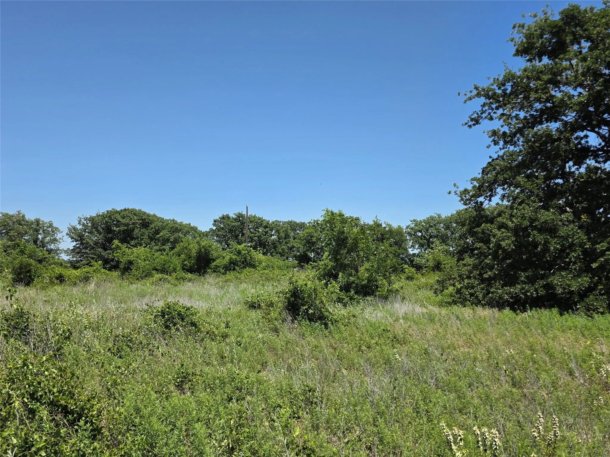 Ranch For Sale in Eastland County , 1000 County Road 375, Rising Star, Texas 76471, 0, 0, Garage spaces, 0 Sqft, built in 0, mls#21201769, Real Estate Agent in Rising Star, Homes For Sale in Eastland county, Homes For Sale in Rising Star, Realtor in Rising Star Texas, Real Estate Brokerage Independent Realty Texas, Luminita Cordes Realtor