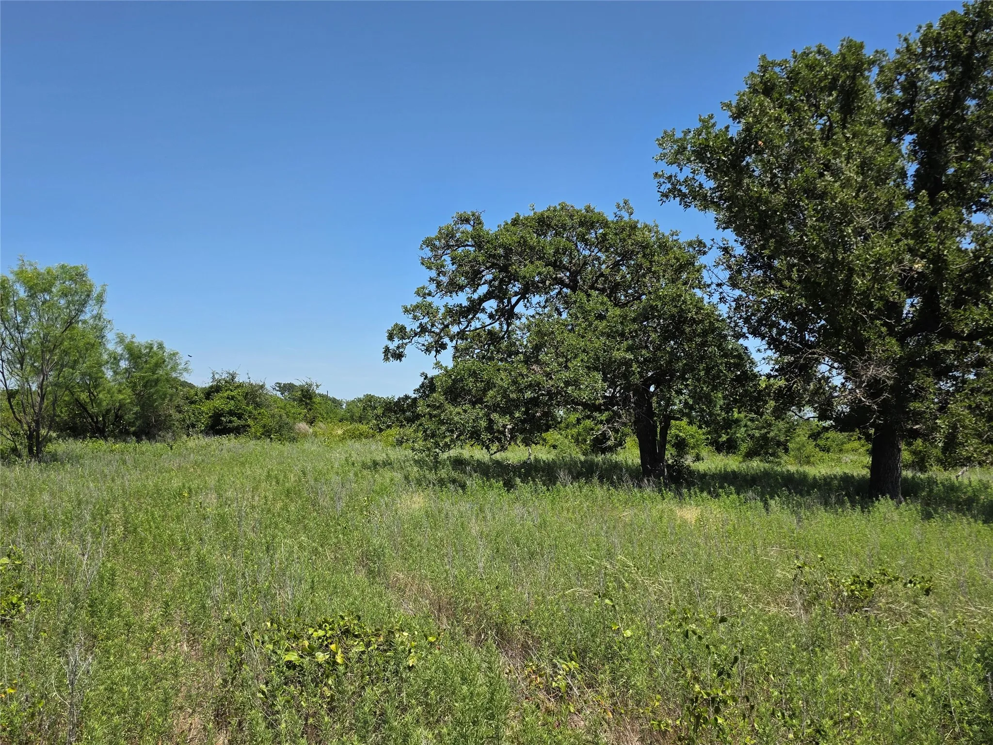 Ranch For Sale in Eastland County , 1000 County Road 375, Rising Star, Texas 76471, 0, 0, Garage spaces, 0 Sqft, built in 0, mls#21201769, Real Estate Agent in Rising Star, Homes For Sale in Eastland county, Homes For Sale in Rising Star, Realtor in Rising Star Texas, Real Estate Brokerage Independent Realty Texas, Luminita Cordes Realtor
