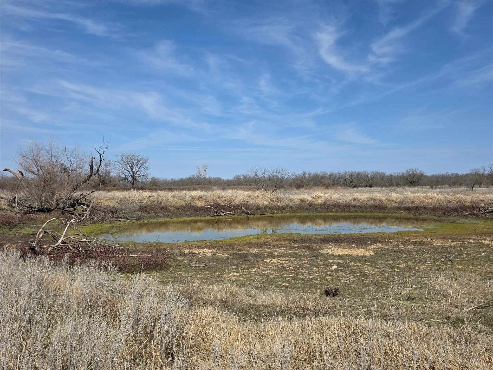Ranch For Sale in Eastland County , 1000 County Road 375, Rising Star, Texas 76471, 0, 0, Garage spaces, 0 Sqft, built in 0, mls#21201769, Real Estate Agent in Rising Star, Homes For Sale in Eastland county, Homes For Sale in Rising Star, Realtor in Rising Star Texas, Real Estate Brokerage Independent Realty Texas, Luminita Cordes Realtor