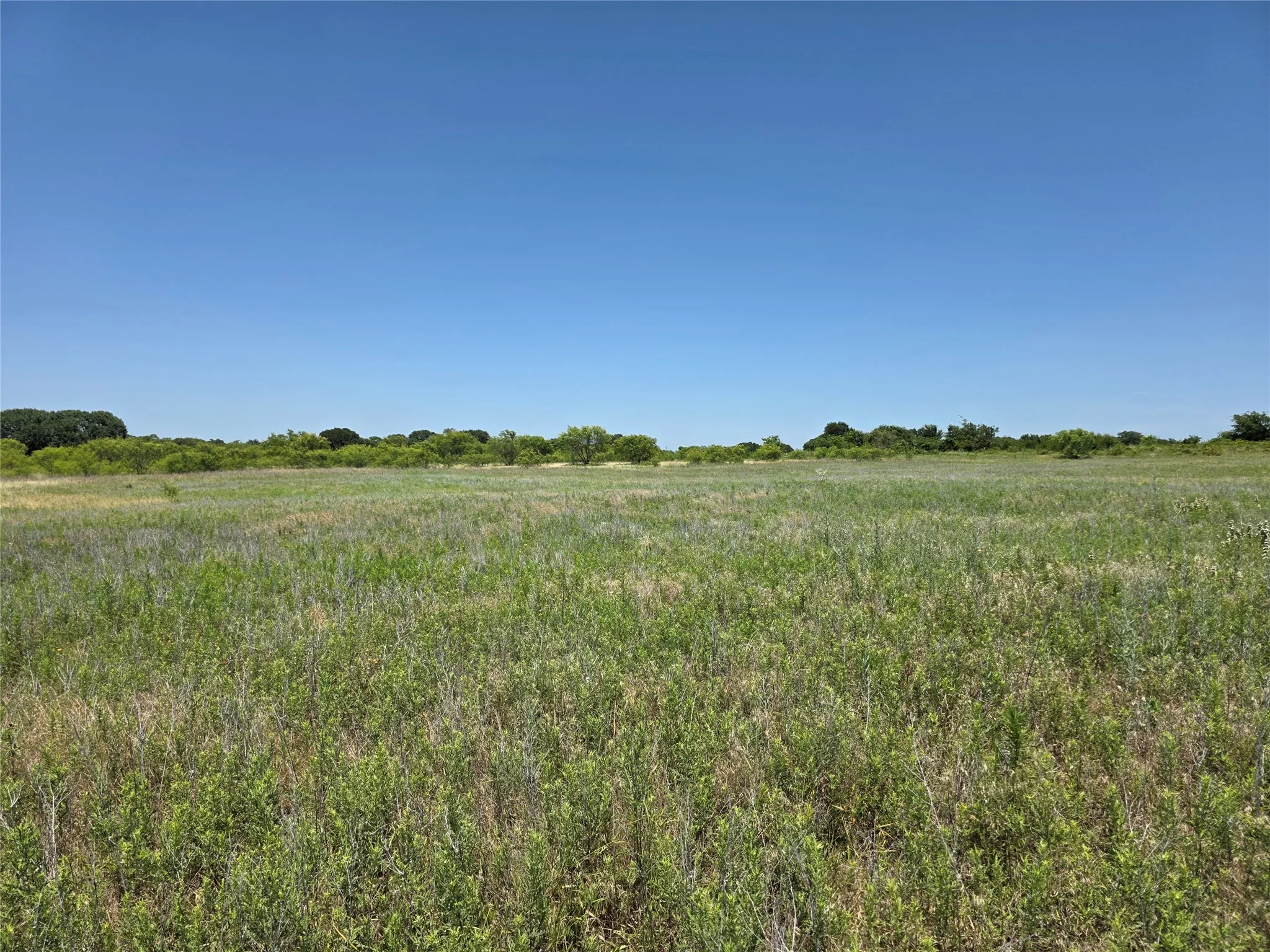 Ranch For Sale in Eastland County , 1000 County Road 375, Rising Star, Texas 76471, 0, 0, Garage spaces, 0 Sqft, built in 0, mls#21201769, Real Estate Agent in Rising Star, Homes For Sale in Eastland county, Homes For Sale in Rising Star, Realtor in Rising Star Texas, Real Estate Brokerage Independent Realty Texas, Luminita Cordes Realtor