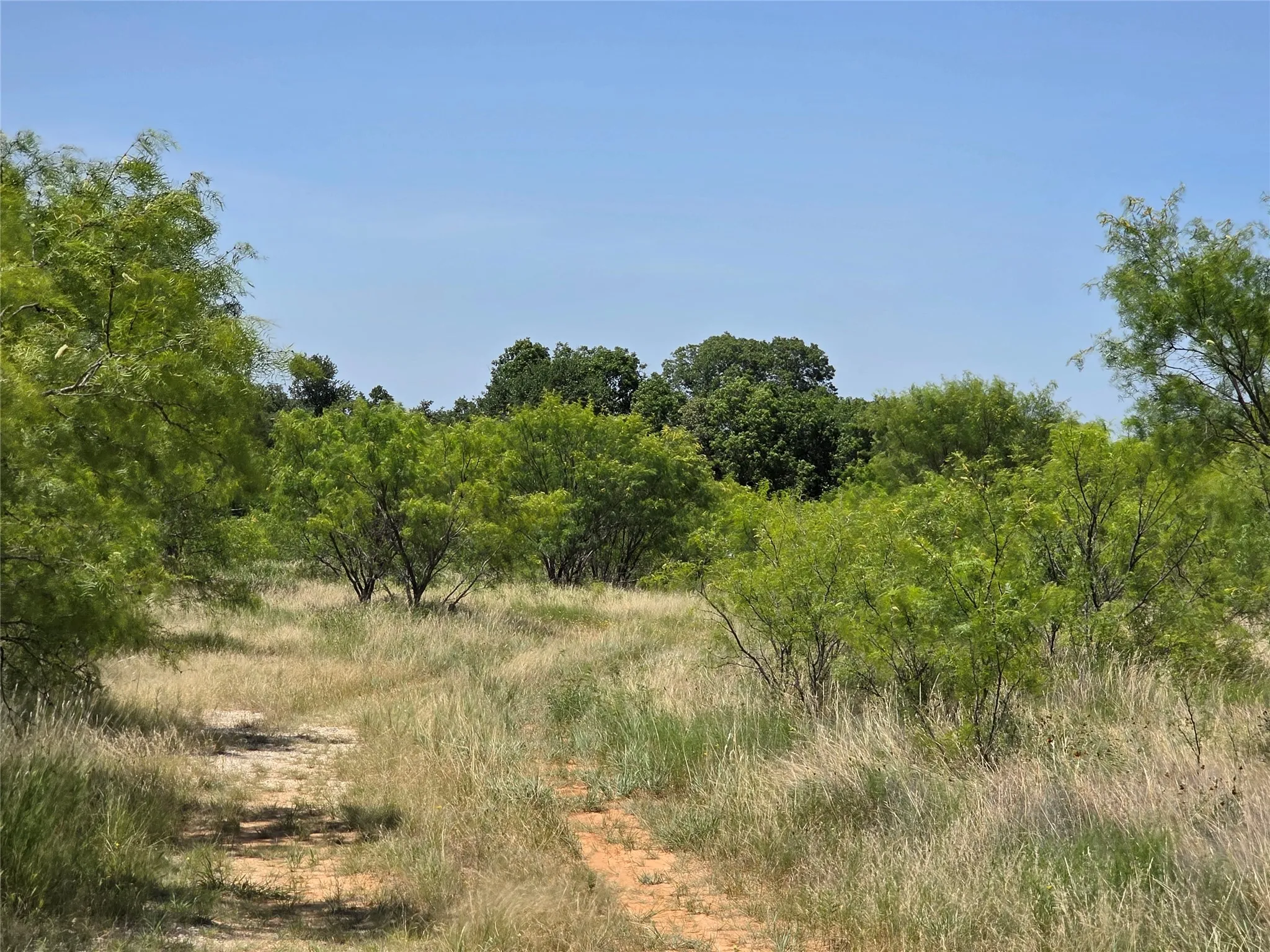 Ranch For Sale in Eastland County , 1000 County Road 375, Rising Star, Texas 76471, 0, 0, Garage spaces, 0 Sqft, built in 0, mls#21201769, Real Estate Agent in Rising Star, Homes For Sale in Eastland county, Homes For Sale in Rising Star, Realtor in Rising Star Texas, Real Estate Brokerage Independent Realty Texas, Luminita Cordes Realtor