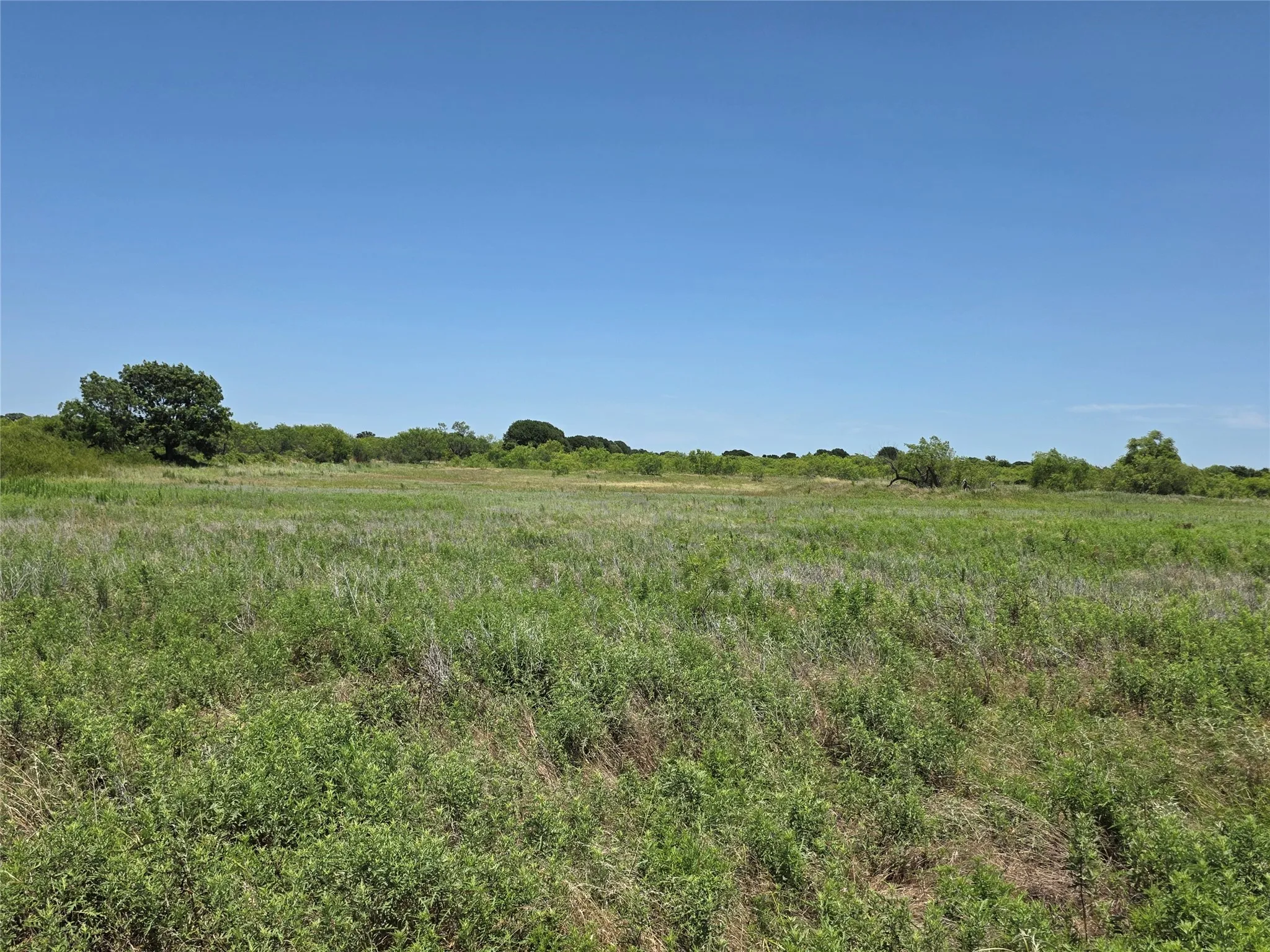 Ranch For Sale in Eastland County , 1000 County Road 375, Rising Star, Texas 76471, 0, 0, Garage spaces, 0 Sqft, built in 0, mls#21201769, Real Estate Agent in Rising Star, Homes For Sale in Eastland county, Homes For Sale in Rising Star, Realtor in Rising Star Texas, Real Estate Brokerage Independent Realty Texas, Luminita Cordes Realtor
