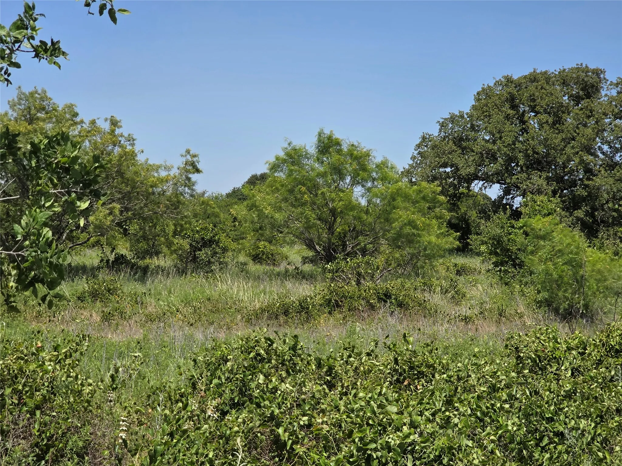 Ranch For Sale in Eastland County , 1000 County Road 375, Rising Star, Texas 76471, 0, 0, Garage spaces, 0 Sqft, built in 0, mls#21201769, Real Estate Agent in Rising Star, Homes For Sale in Eastland county, Homes For Sale in Rising Star, Realtor in Rising Star Texas, Real Estate Brokerage Independent Realty Texas, Luminita Cordes Realtor