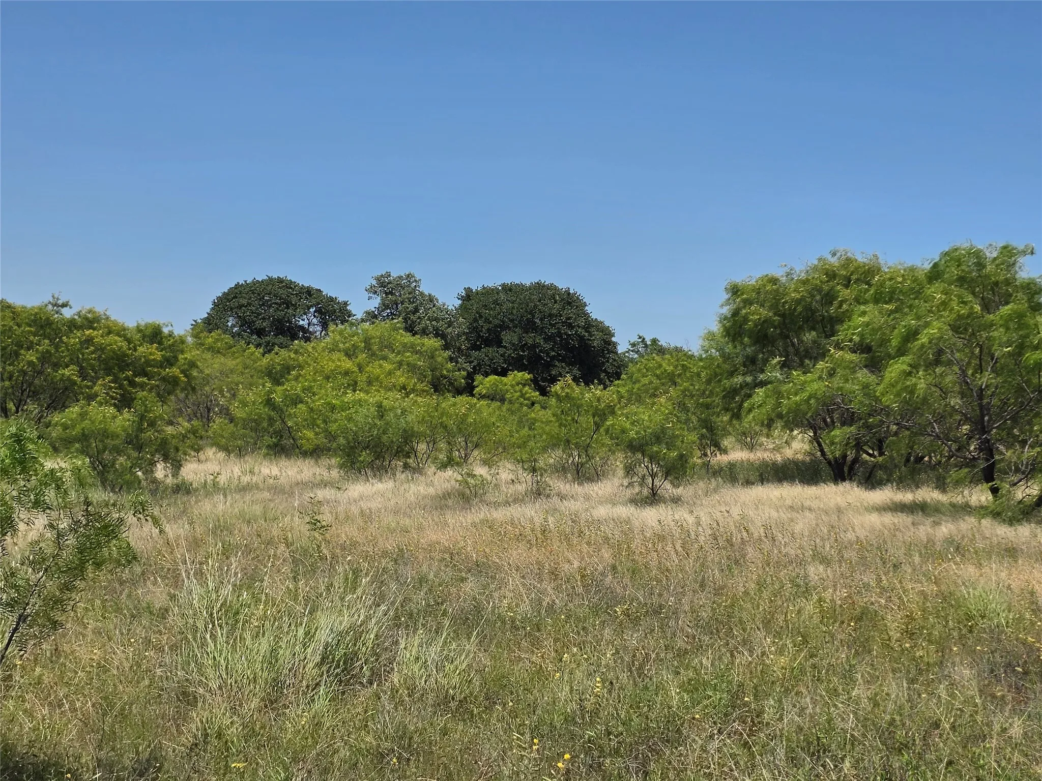 Ranch For Sale in Eastland County , 1000 County Road 375, Rising Star, Texas 76471, 0, 0, Garage spaces, 0 Sqft, built in 0, mls#21201769, Real Estate Agent in Rising Star, Homes For Sale in Eastland county, Homes For Sale in Rising Star, Realtor in Rising Star Texas, Real Estate Brokerage Independent Realty Texas, Luminita Cordes Realtor