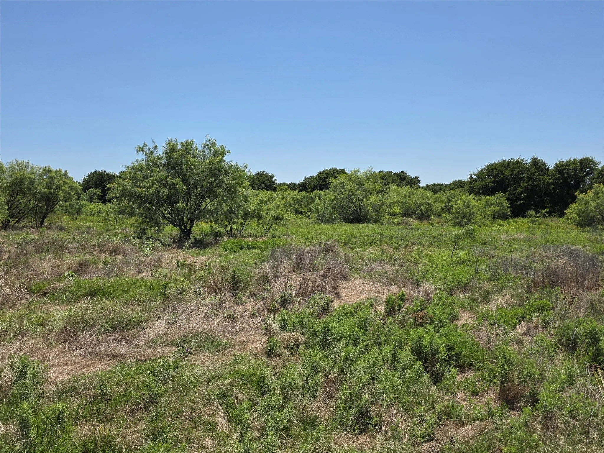 Ranch For Sale in Eastland County , 1000 County Road 375, Rising Star, Texas 76471, 0, 0, Garage spaces, 0 Sqft, built in 0, mls#21201769, Real Estate Agent in Rising Star, Homes For Sale in Eastland county, Homes For Sale in Rising Star, Realtor in Rising Star Texas, Real Estate Brokerage Independent Realty Texas, Luminita Cordes Realtor