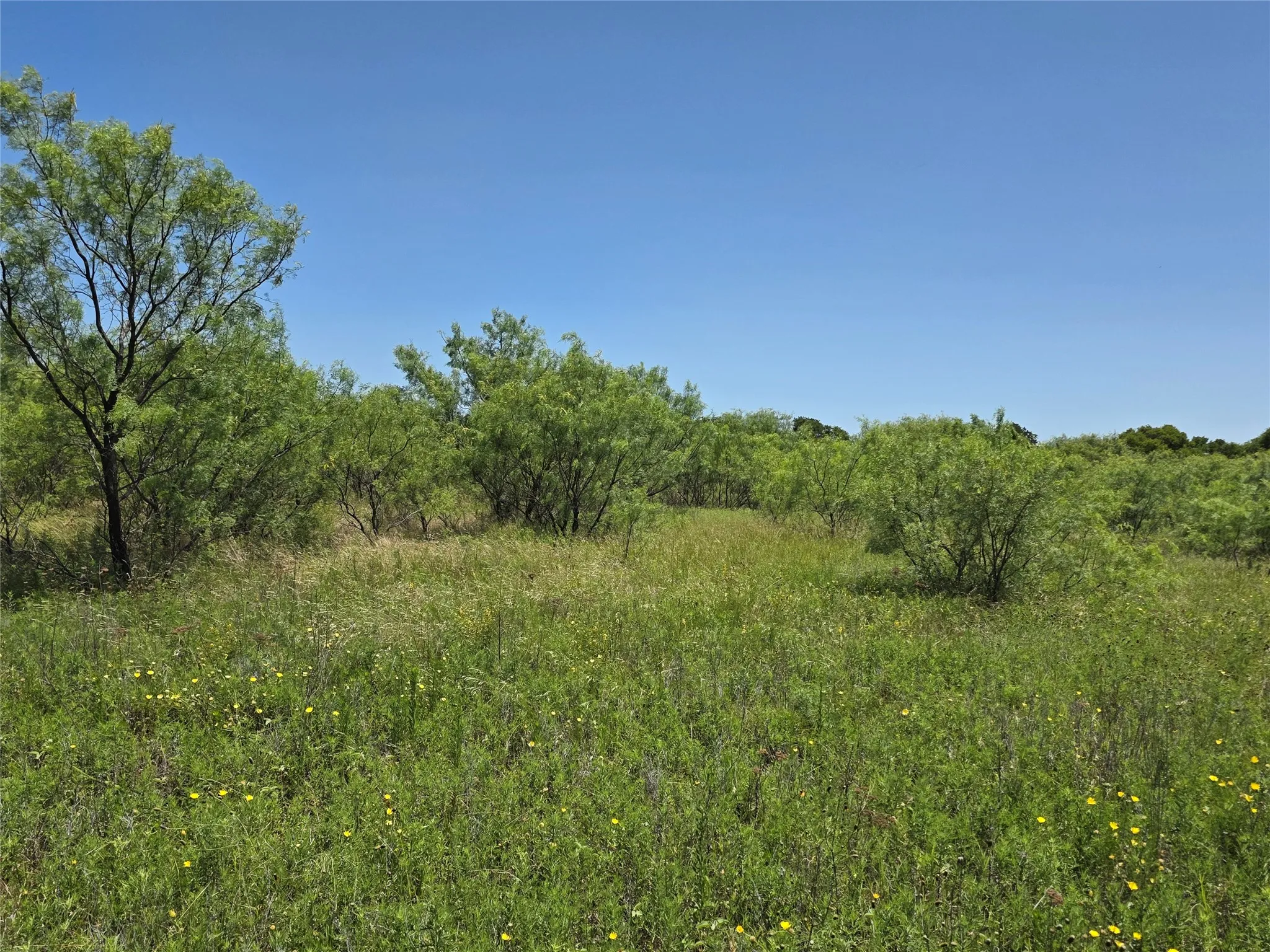 Ranch For Sale in Eastland County , 1000 County Road 375, Rising Star, Texas 76471, 0, 0, Garage spaces, 0 Sqft, built in 0, mls#21201769, Real Estate Agent in Rising Star, Homes For Sale in Eastland county, Homes For Sale in Rising Star, Realtor in Rising Star Texas, Real Estate Brokerage Independent Realty Texas, Luminita Cordes Realtor