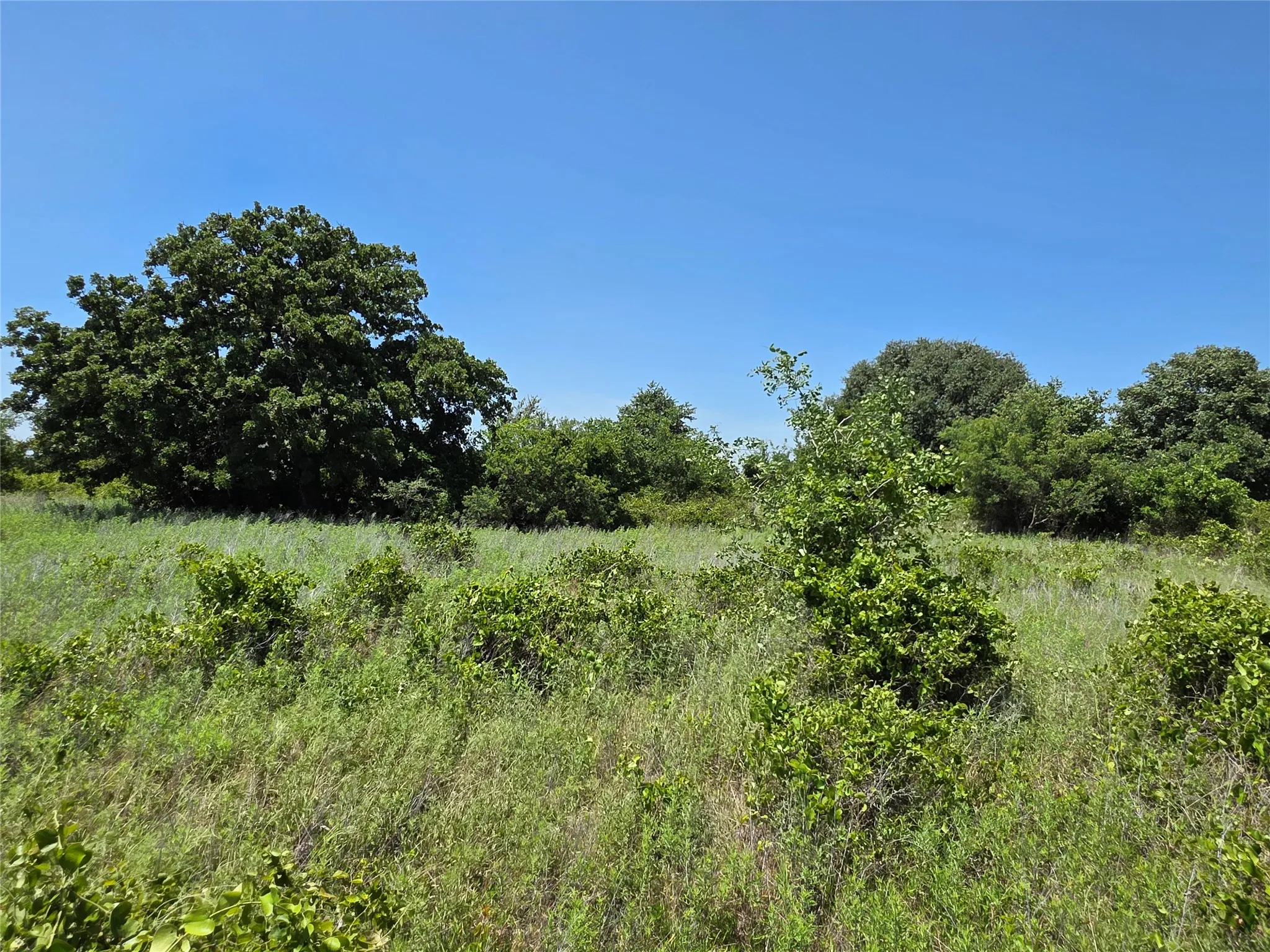 Ranch For Sale in Eastland County , 1000 County Road 375, Rising Star, Texas 76471, 0, 0, Garage spaces, 0 Sqft, built in 0, mls#21201769, Real Estate Agent in Rising Star, Homes For Sale in Eastland county, Homes For Sale in Rising Star, Realtor in Rising Star Texas, Real Estate Brokerage Independent Realty Texas, Luminita Cordes Realtor