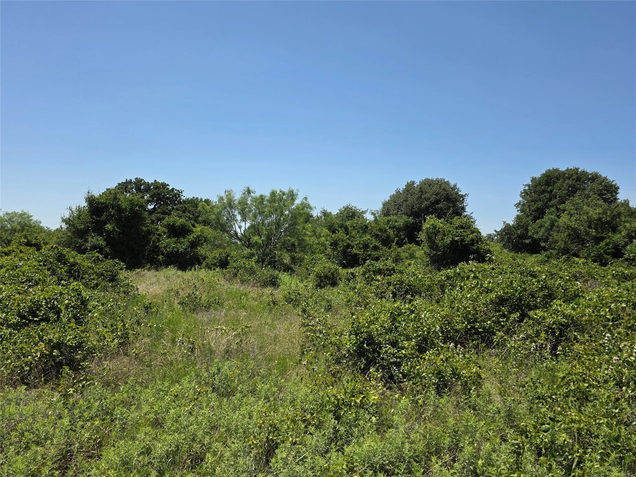 Ranch For Sale in Eastland County , 1000 County Road 375, Rising Star, Texas 76471, 0, 0, Garage spaces, 0 Sqft, built in 0, mls#21201769, Real Estate Agent in Rising Star, Homes For Sale in Eastland county, Homes For Sale in Rising Star, Realtor in Rising Star Texas, Real Estate Brokerage Independent Realty Texas, Luminita Cordes Realtor
