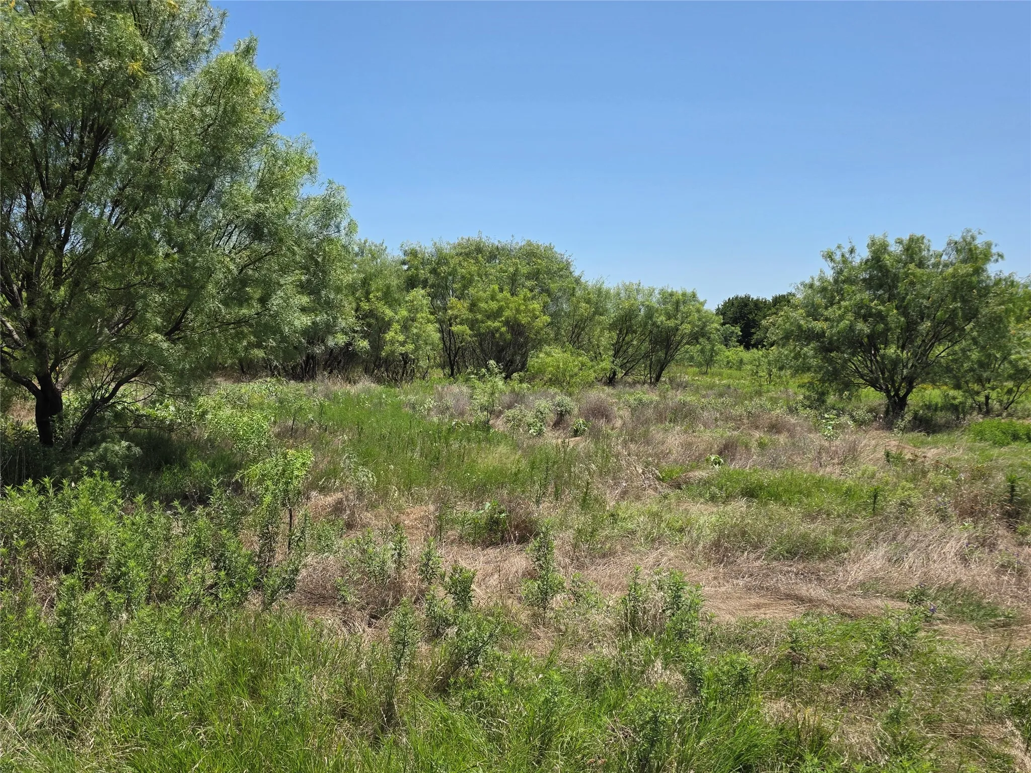 Ranch For Sale in Eastland County , 1000 County Road 375, Rising Star, Texas 76471, 0, 0, Garage spaces, 0 Sqft, built in 0, mls#21201769, Real Estate Agent in Rising Star, Homes For Sale in Eastland county, Homes For Sale in Rising Star, Realtor in Rising Star Texas, Real Estate Brokerage Independent Realty Texas, Luminita Cordes Realtor