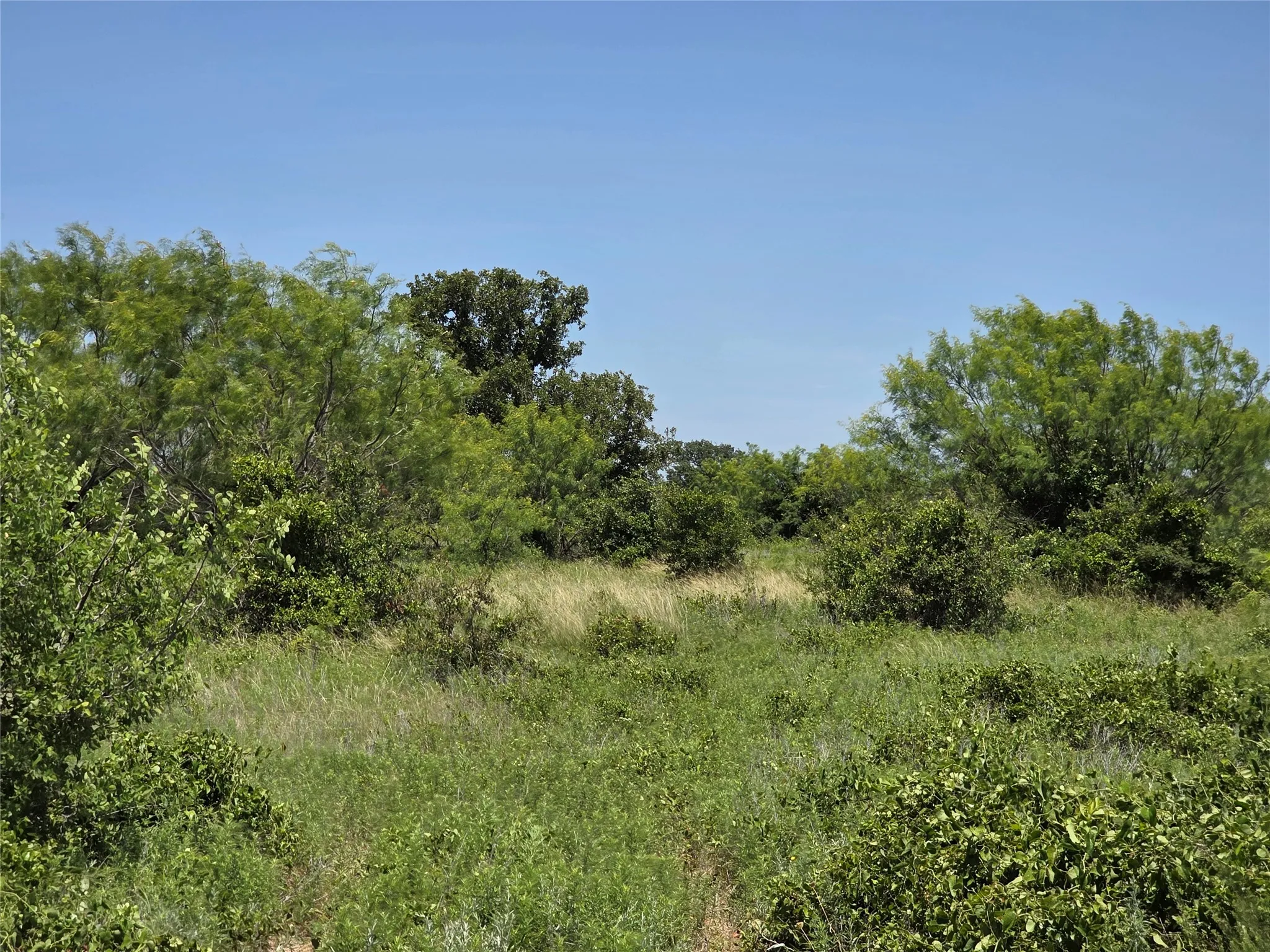 Ranch For Sale in Eastland County , 1000 County Road 375, Rising Star, Texas 76471, 0, 0, Garage spaces, 0 Sqft, built in 0, mls#21201769, Real Estate Agent in Rising Star, Homes For Sale in Eastland county, Homes For Sale in Rising Star, Realtor in Rising Star Texas, Real Estate Brokerage Independent Realty Texas, Luminita Cordes Realtor