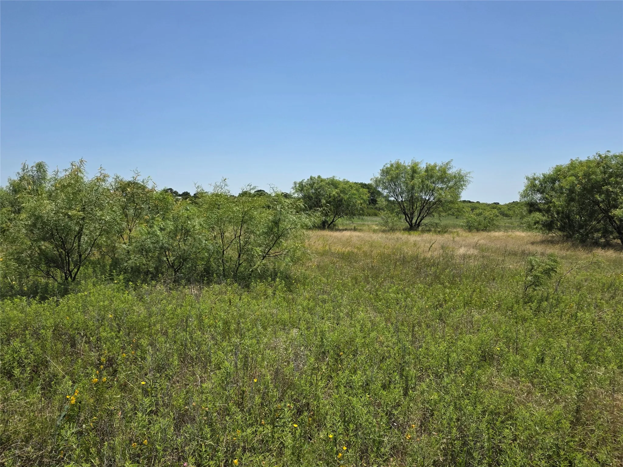 Ranch For Sale in Eastland County , 1000 County Road 375, Rising Star, Texas 76471, 0, 0, Garage spaces, 0 Sqft, built in 0, mls#21201769, Real Estate Agent in Rising Star, Homes For Sale in Eastland county, Homes For Sale in Rising Star, Realtor in Rising Star Texas, Real Estate Brokerage Independent Realty Texas, Luminita Cordes Realtor