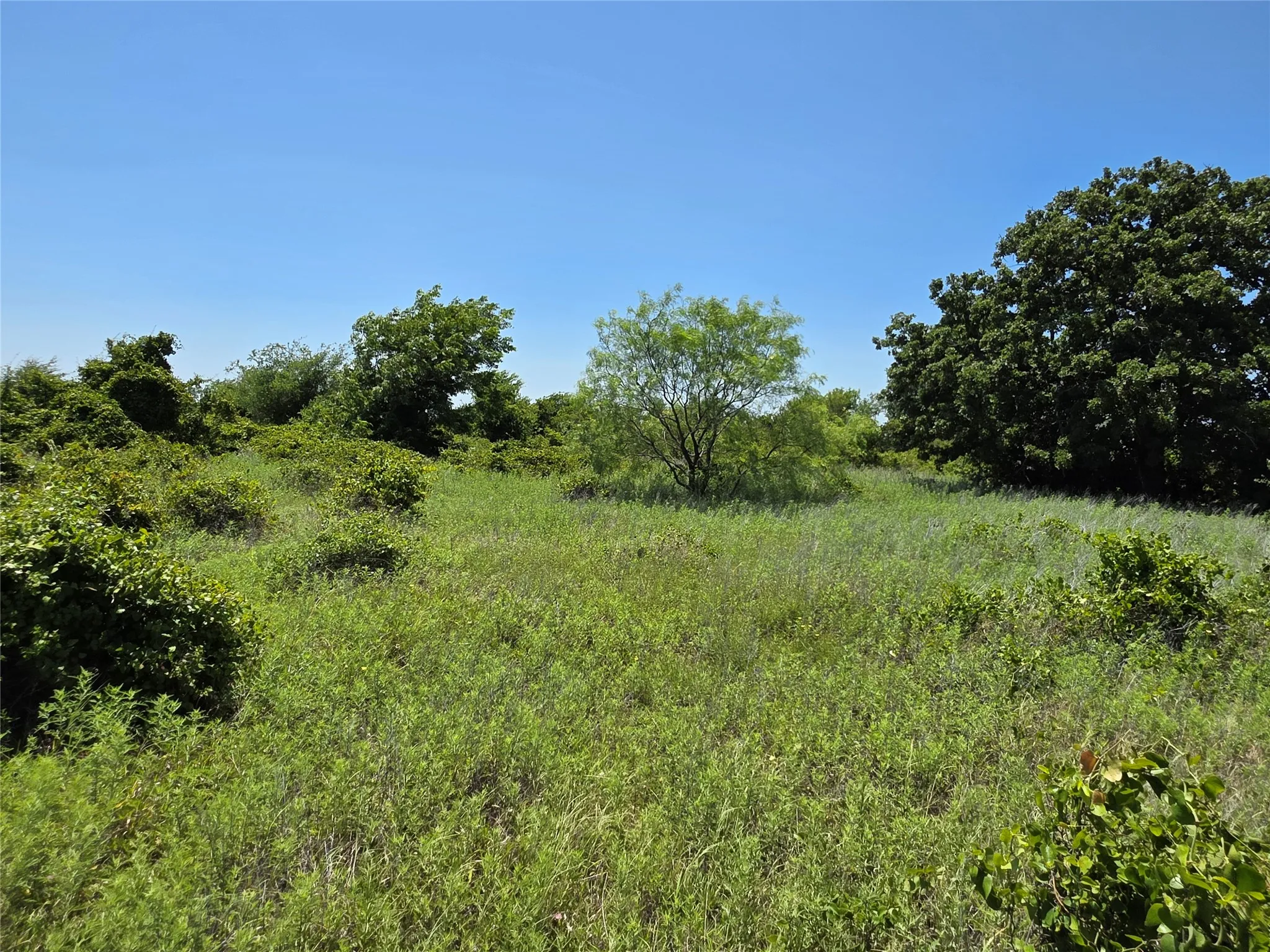 Ranch For Sale in Eastland County , 1000 County Road 375, Rising Star, Texas 76471, 0, 0, Garage spaces, 0 Sqft, built in 0, mls#21201769, Real Estate Agent in Rising Star, Homes For Sale in Eastland county, Homes For Sale in Rising Star, Realtor in Rising Star Texas, Real Estate Brokerage Independent Realty Texas, Luminita Cordes Realtor