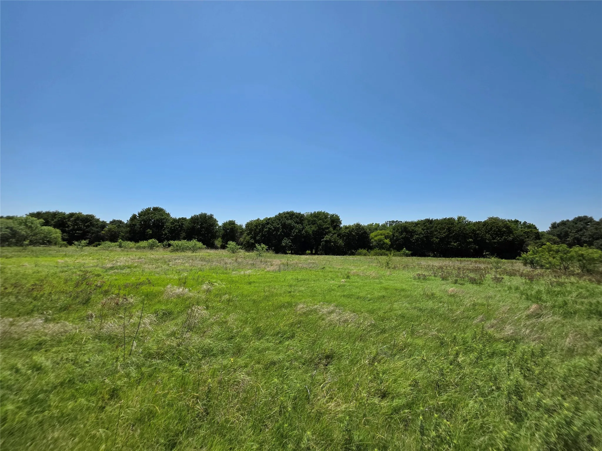 Ranch For Sale in Eastland County , 1000 County Road 375, Rising Star, Texas 76471, 0, 0, Garage spaces, 0 Sqft, built in 0, mls#21201769, Real Estate Agent in Rising Star, Homes For Sale in Eastland county, Homes For Sale in Rising Star, Realtor in Rising Star Texas, Real Estate Brokerage Independent Realty Texas, Luminita Cordes Realtor