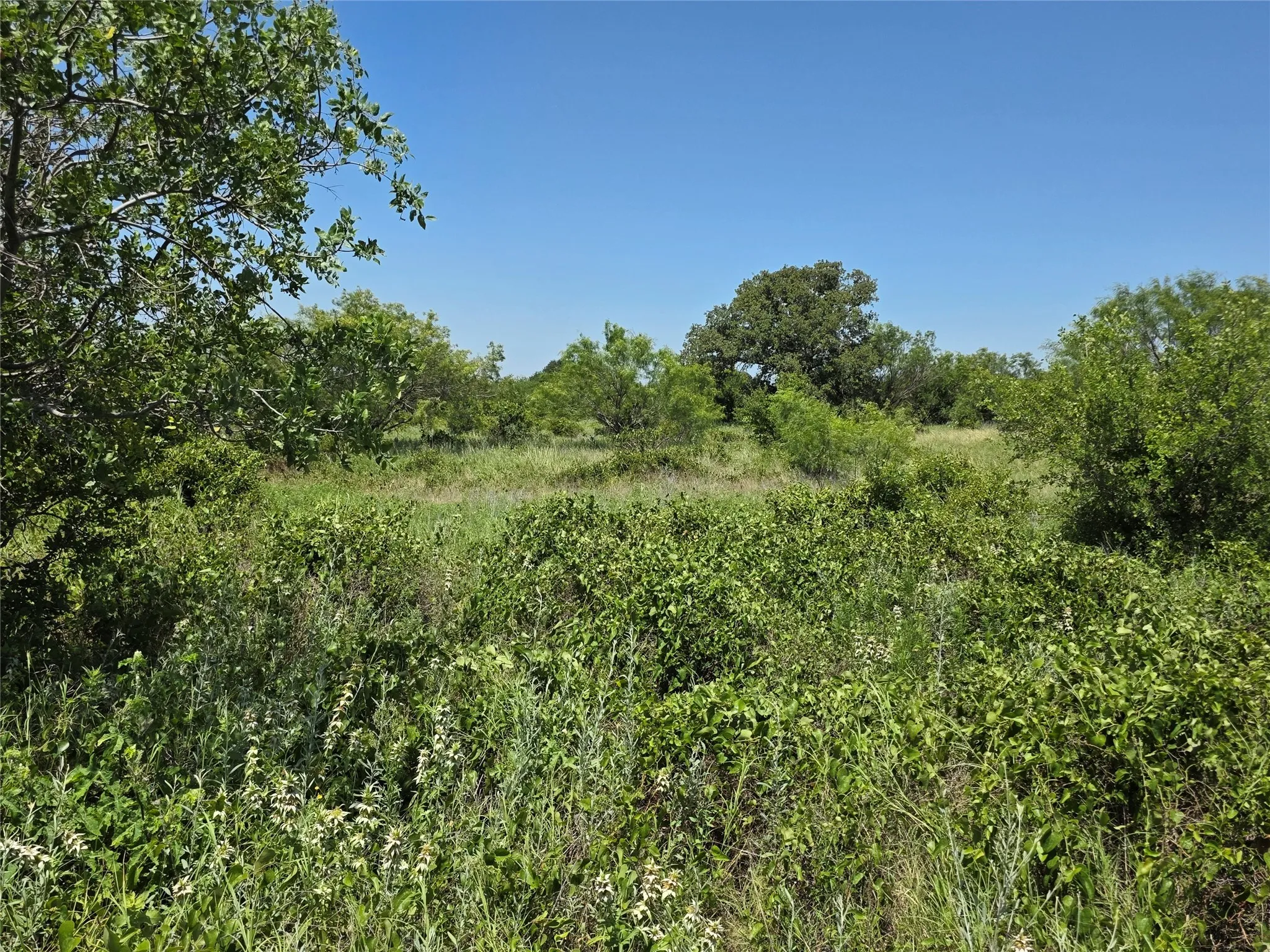 Ranch For Sale in Eastland County , 1000 County Road 375, Rising Star, Texas 76471, 0, 0, Garage spaces, 0 Sqft, built in 0, mls#21201769, Real Estate Agent in Rising Star, Homes For Sale in Eastland county, Homes For Sale in Rising Star, Realtor in Rising Star Texas, Real Estate Brokerage Independent Realty Texas, Luminita Cordes Realtor