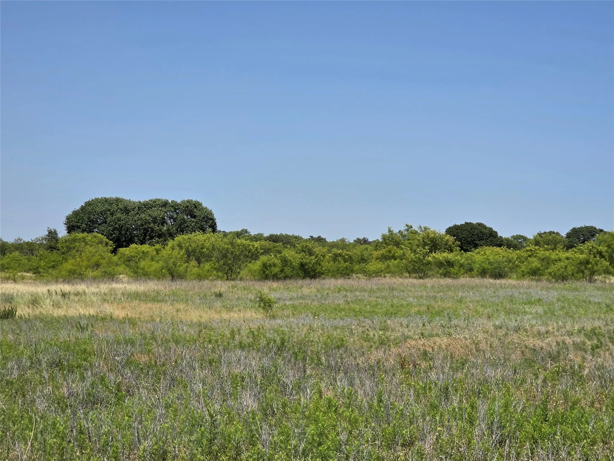 Ranch For Sale in Eastland County , 1000 County Road 375, Rising Star, Texas 76471, 0, 0, Garage spaces, 0 Sqft, built in 0, mls#21201769, Real Estate Agent in Rising Star, Homes For Sale in Eastland county, Homes For Sale in Rising Star, Realtor in Rising Star Texas, Real Estate Brokerage Independent Realty Texas, Luminita Cordes Realtor