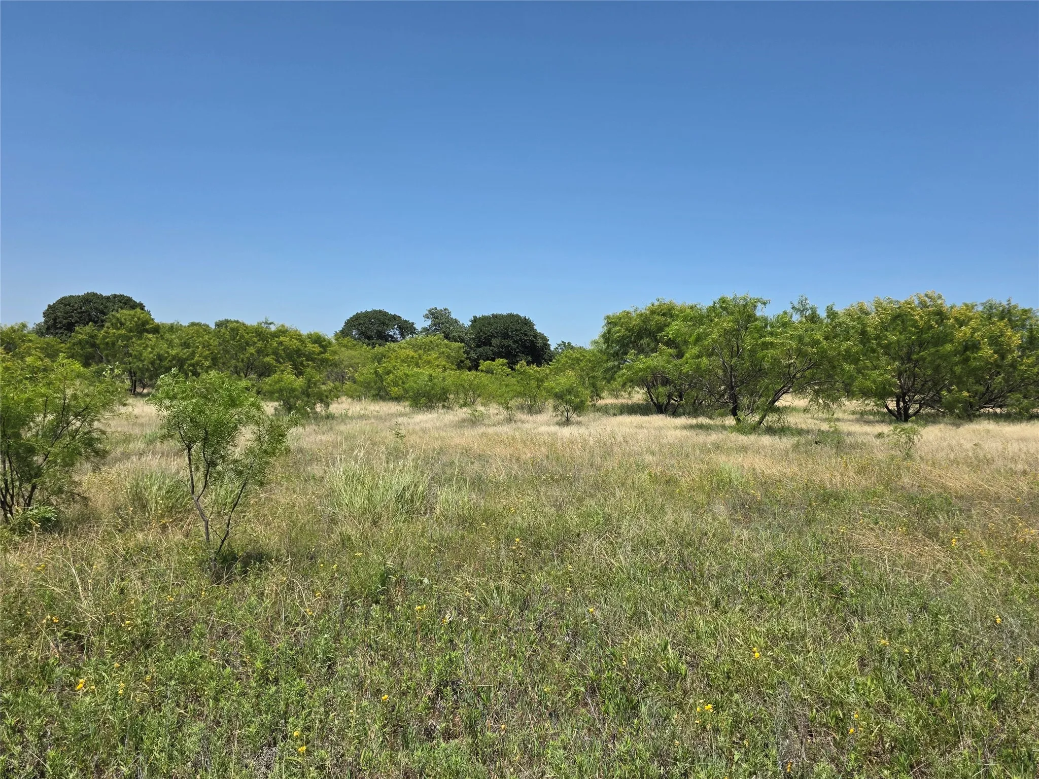 Ranch For Sale in Eastland County , 1000 County Road 375, Rising Star, Texas 76471, 0, 0, Garage spaces, 0 Sqft, built in 0, mls#21201769, Real Estate Agent in Rising Star, Homes For Sale in Eastland county, Homes For Sale in Rising Star, Realtor in Rising Star Texas, Real Estate Brokerage Independent Realty Texas, Luminita Cordes Realtor