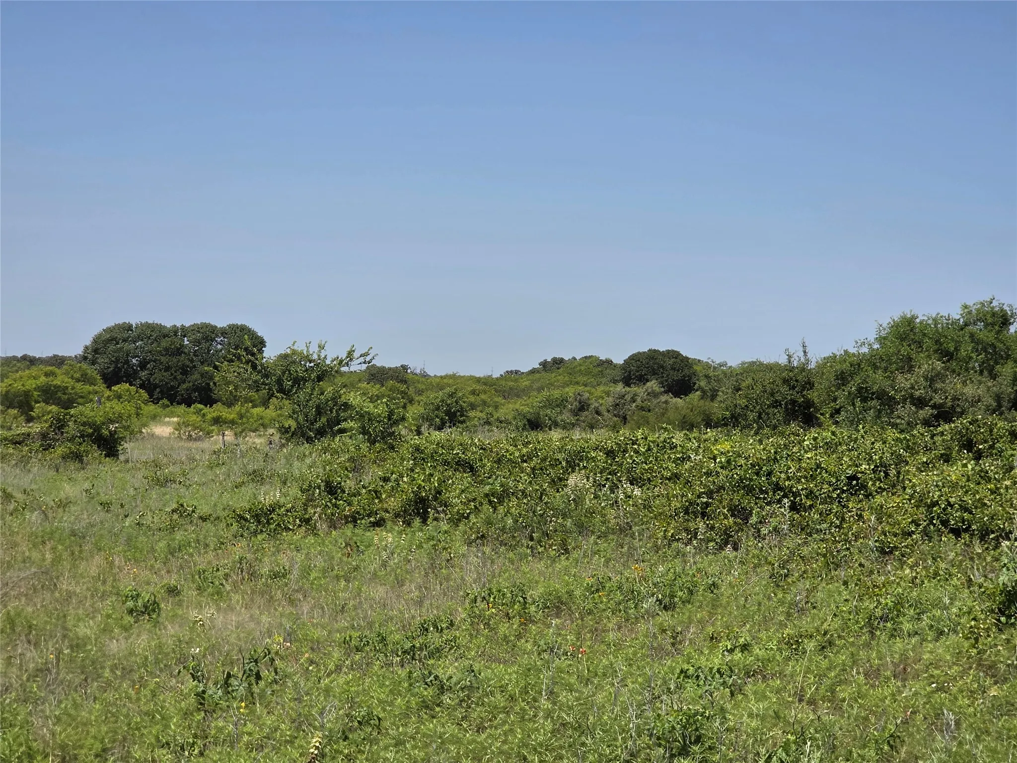 Ranch For Sale in Eastland County , 1000 County Road 375, Rising Star, Texas 76471, 0, 0, Garage spaces, 0 Sqft, built in 0, mls#21201769, Real Estate Agent in Rising Star, Homes For Sale in Eastland county, Homes For Sale in Rising Star, Realtor in Rising Star Texas, Real Estate Brokerage Independent Realty Texas, Luminita Cordes Realtor