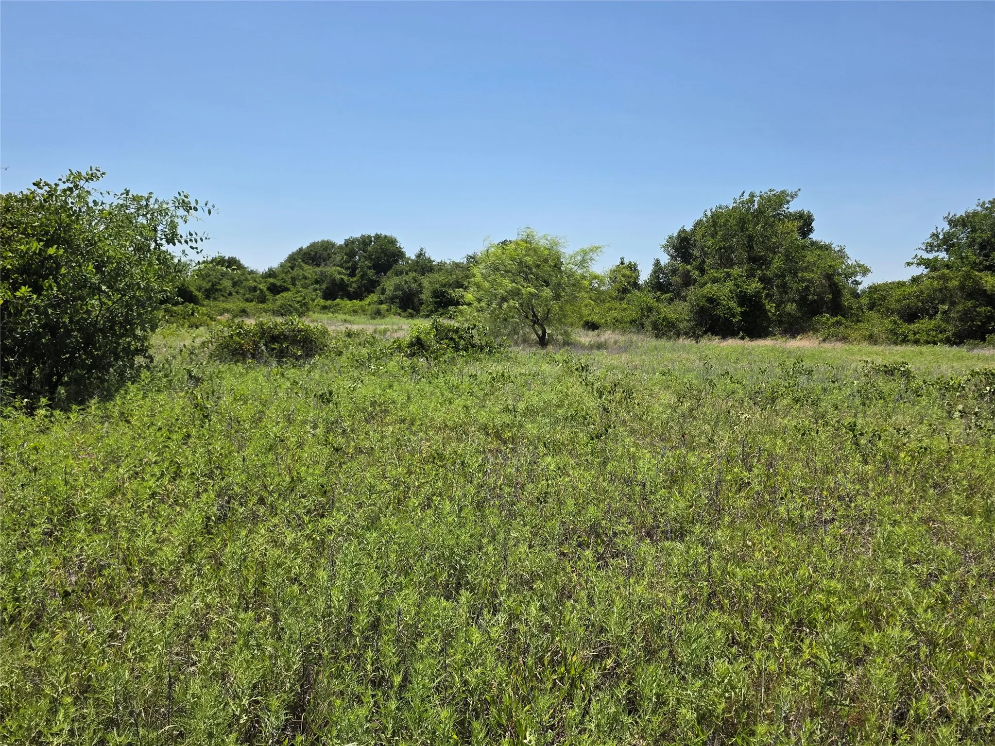 Ranch For Sale in Eastland County , 1000 County Road 375, Rising Star, Texas 76471, 0, 0, Garage spaces, 0 Sqft, built in 0, mls#21201769, Real Estate Agent in Rising Star, Homes For Sale in Eastland county, Homes For Sale in Rising Star, Realtor in Rising Star Texas, Real Estate Brokerage Independent Realty Texas, Luminita Cordes Realtor