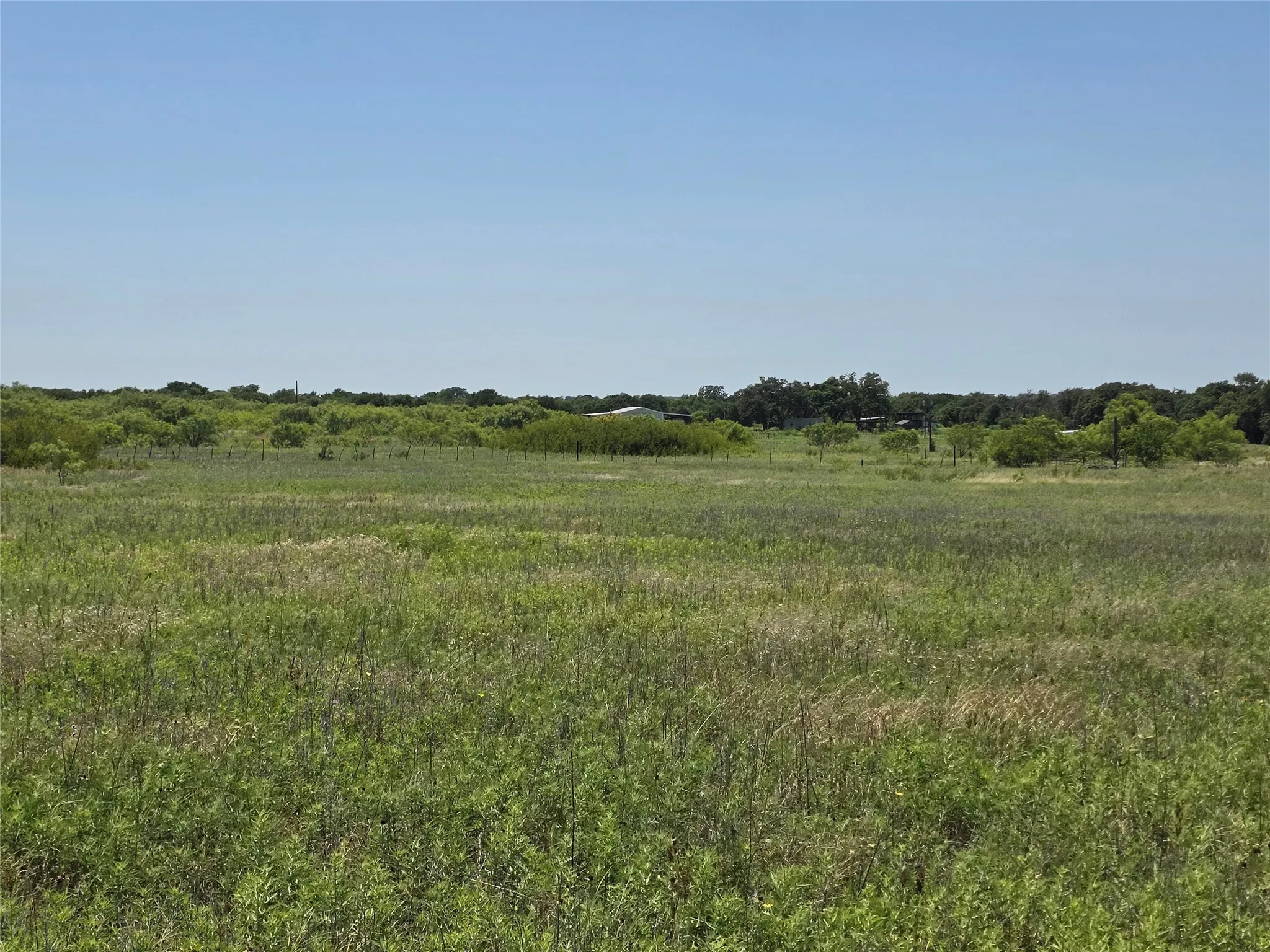 Ranch For Sale in Eastland County , 1000 County Road 375, Rising Star, Texas 76471, 0, 0, Garage spaces, 0 Sqft, built in 0, mls#21201769, Real Estate Agent in Rising Star, Homes For Sale in Eastland county, Homes For Sale in Rising Star, Realtor in Rising Star Texas, Real Estate Brokerage Independent Realty Texas, Luminita Cordes Realtor