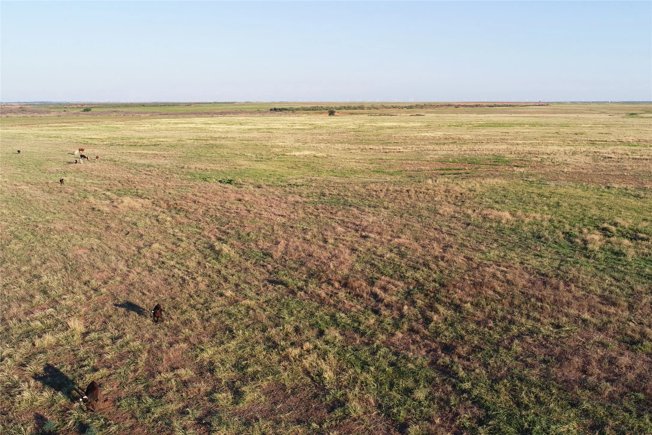 Ranch For Sale in Wilbarger County , 11000 County Road 110 W, Vernon, Texas 76384, 0, 0, Garage spaces, 0 Sqft, built in 0, mls#21202037, Real Estate Agent in Vernon, Homes For Sale in Wilbarger county, Homes For Sale in Vernon, Realtor in Vernon Texas, Real Estate Brokerage Independent Realty Texas, Luminita Cordes Realtor