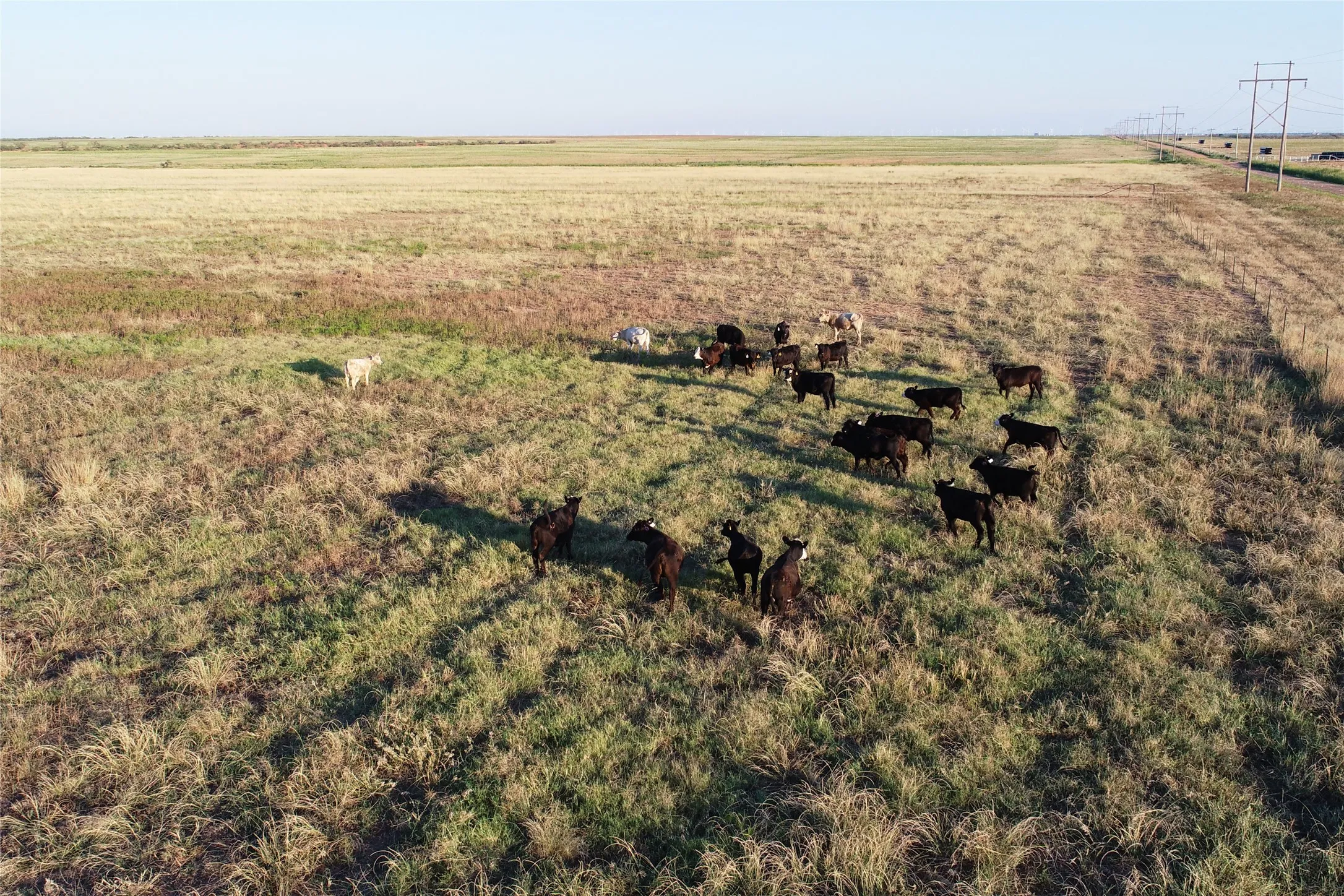 Ranch For Sale in Wilbarger County , 11000 County Road 110 W, Vernon, Texas 76384, 0, 0, Garage spaces, 0 Sqft, built in 0, mls#21202037, Real Estate Agent in Vernon, Homes For Sale in Wilbarger county, Homes For Sale in Vernon, Realtor in Vernon Texas, Real Estate Brokerage Independent Realty Texas, Luminita Cordes Realtor