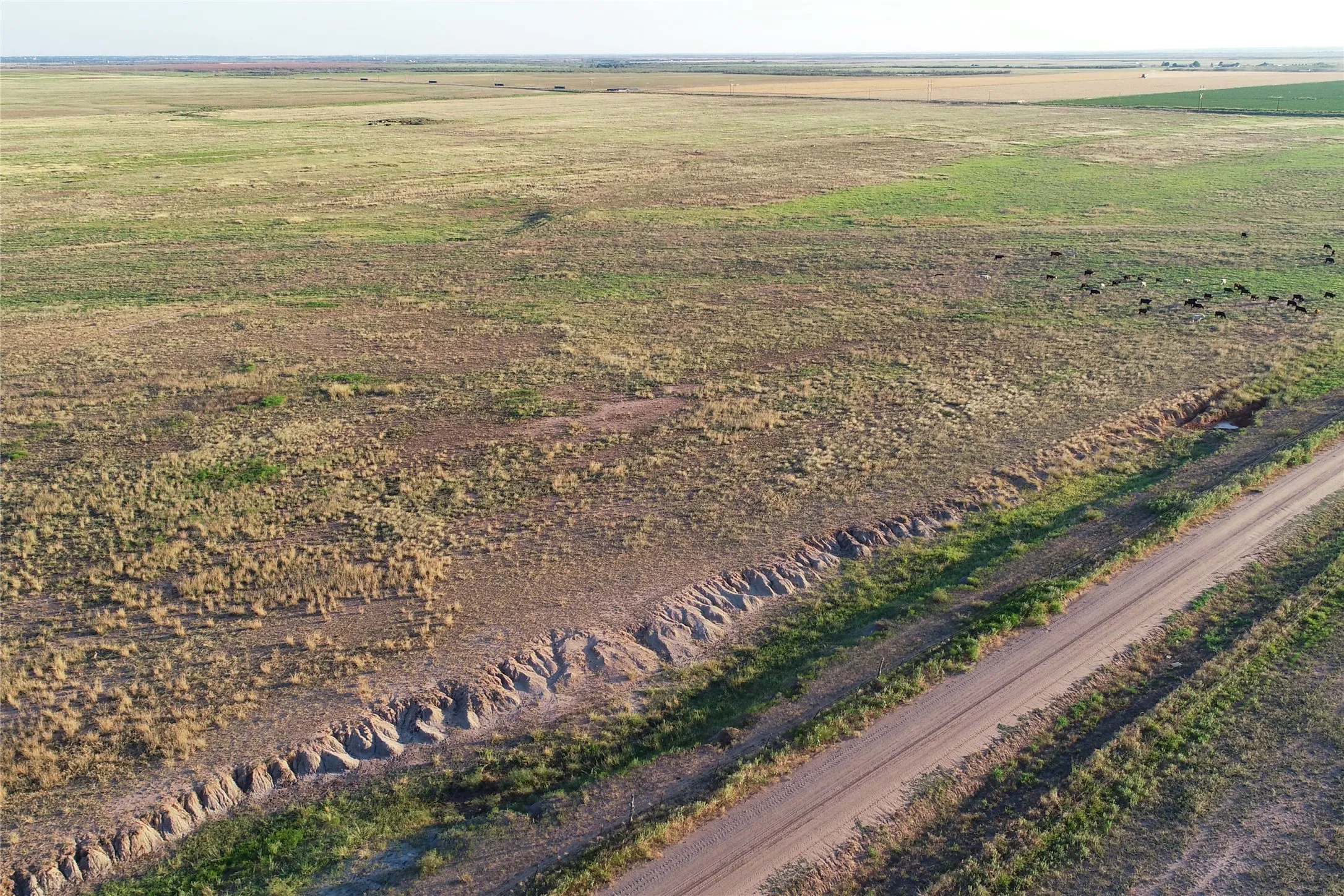 Ranch For Sale in Wilbarger County , 11000 County Road 110 W, Vernon, Texas 76384, 0, 0, Garage spaces, 0 Sqft, built in 0, mls#21202037, Real Estate Agent in Vernon, Homes For Sale in Wilbarger county, Homes For Sale in Vernon, Realtor in Vernon Texas, Real Estate Brokerage Independent Realty Texas, Luminita Cordes Realtor