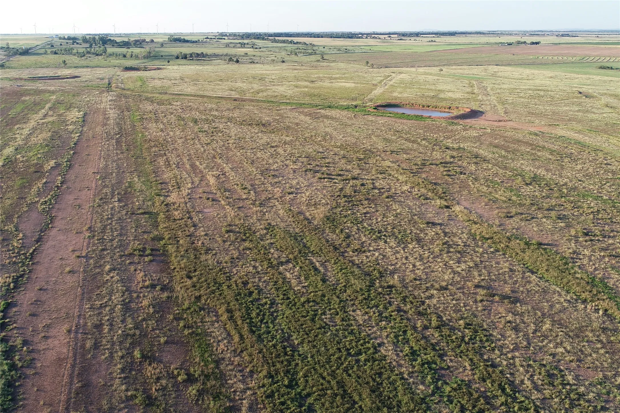 Ranch For Sale in Wilbarger County , 11000 County Road 110 W, Vernon, Texas 76384, 0, 0, Garage spaces, 0 Sqft, built in 0, mls#21202037, Real Estate Agent in Vernon, Homes For Sale in Wilbarger county, Homes For Sale in Vernon, Realtor in Vernon Texas, Real Estate Brokerage Independent Realty Texas, Luminita Cordes Realtor