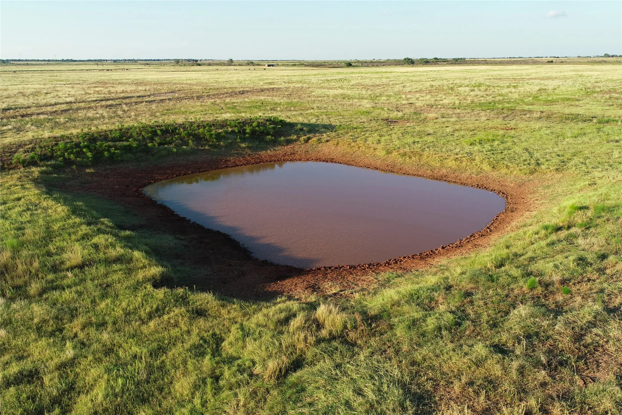 Ranch For Sale in Wilbarger County , 11000 County Road 110 W, Vernon, Texas 76384, 0, 0, Garage spaces, 0 Sqft, built in 0, mls#21202037, Real Estate Agent in Vernon, Homes For Sale in Wilbarger county, Homes For Sale in Vernon, Realtor in Vernon Texas, Real Estate Brokerage Independent Realty Texas, Luminita Cordes Realtor
