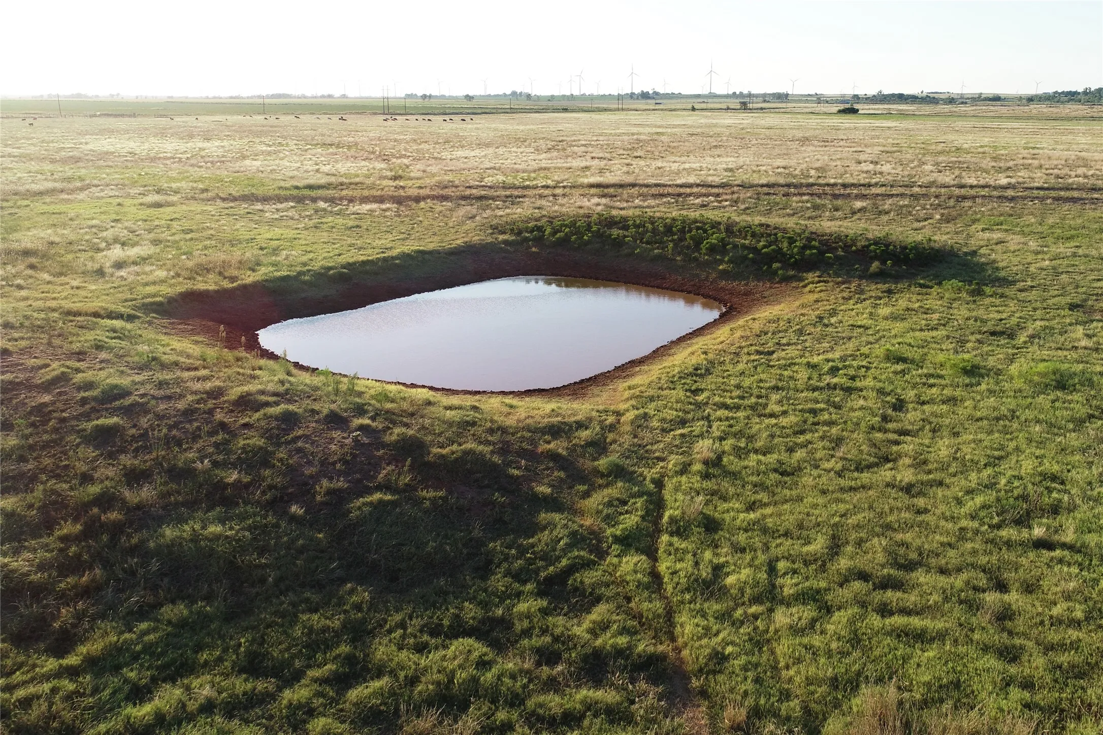 Ranch For Sale in Wilbarger County , 11000 County Road 110 W, Vernon, Texas 76384, 0, 0, Garage spaces, 0 Sqft, built in 0, mls#21202037, Real Estate Agent in Vernon, Homes For Sale in Wilbarger county, Homes For Sale in Vernon, Realtor in Vernon Texas, Real Estate Brokerage Independent Realty Texas, Luminita Cordes Realtor