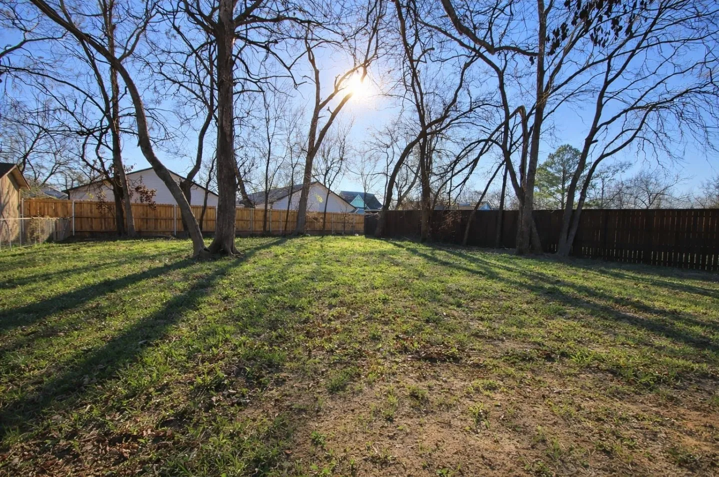 Backyard