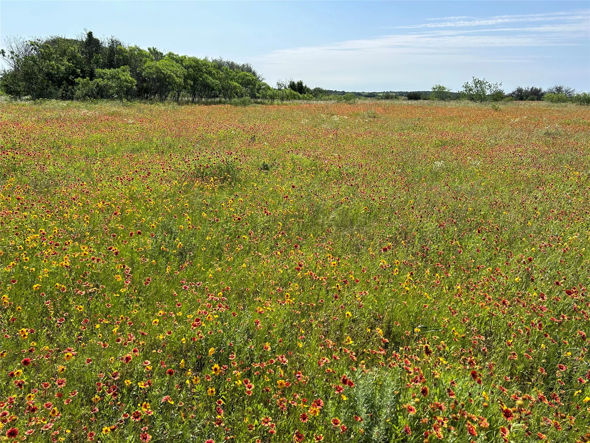 View of local wilderness with rural landscape