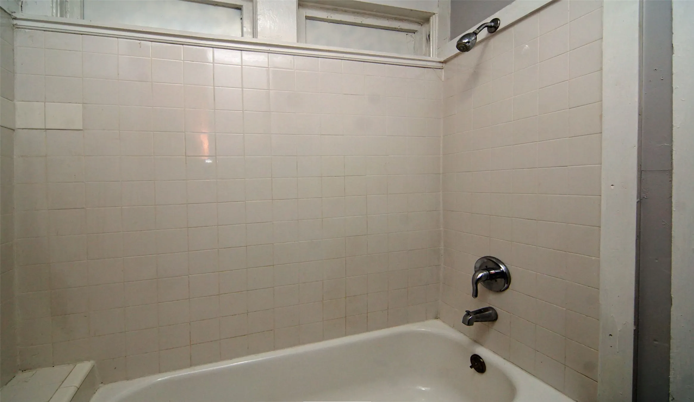 Primary bathroom shower