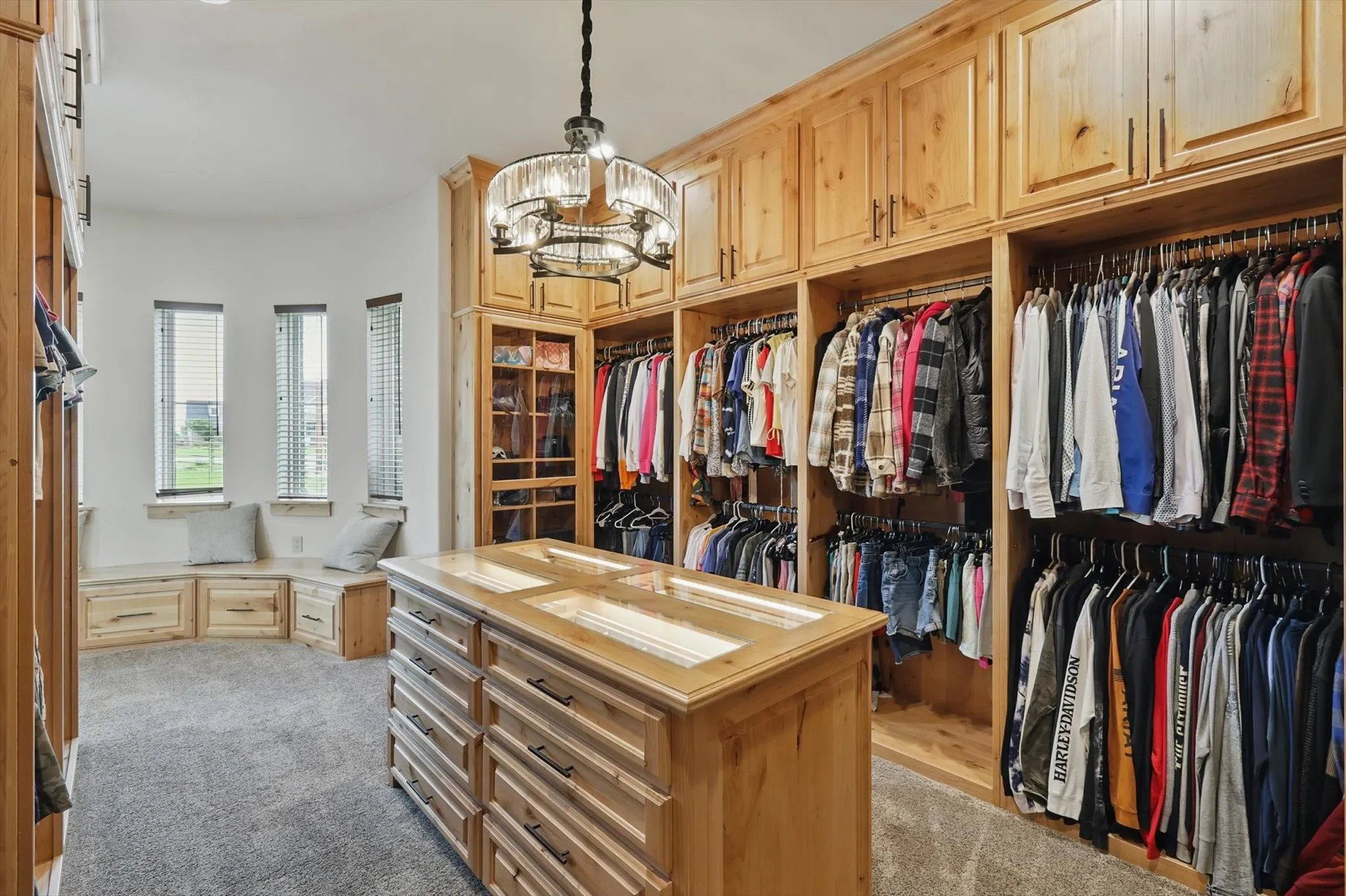 Walk in closet featuring hanging lights and light colored carpet