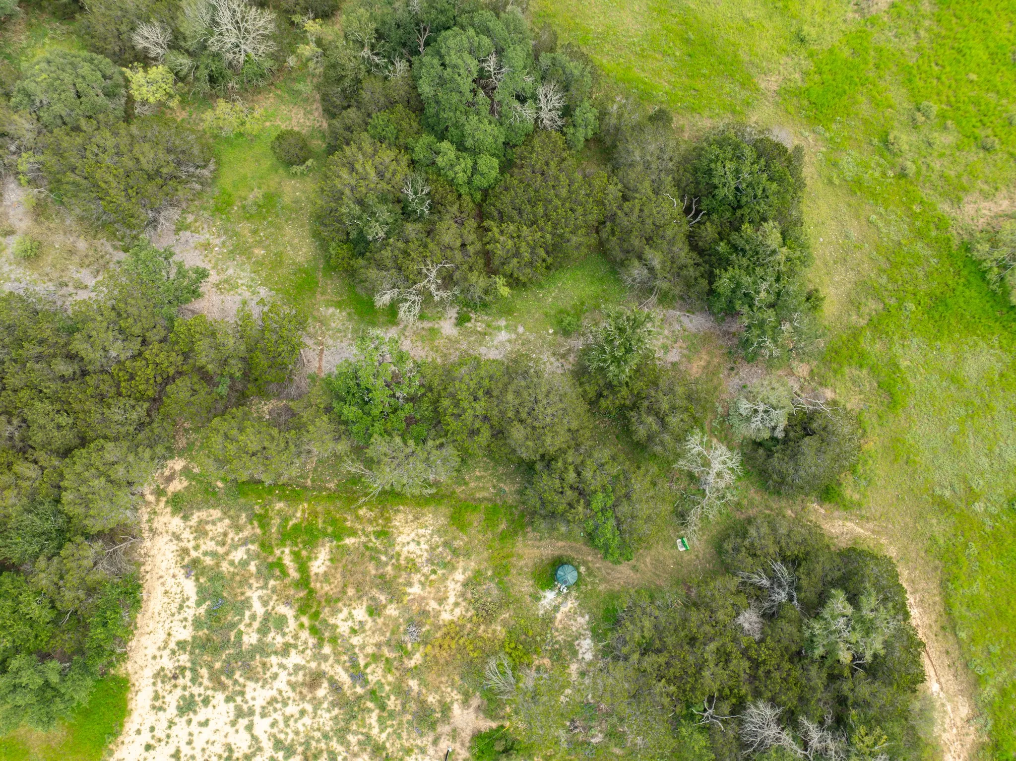 Unimproved Land For Sale in Coryell County , 1070 County Road 162, Evant, Texas 76525, 0, 0, Garage spaces, 0 Sqft, built in 0, Price $115,000, mls#21202466, Real Estate Agent in Evant, Homes For Sale in Coryell county, Homes For Sale in Evant, Realtor in Evant Texas, Real Estate Brokerage Independent Realty Texas, Luminita Cordes Realtor