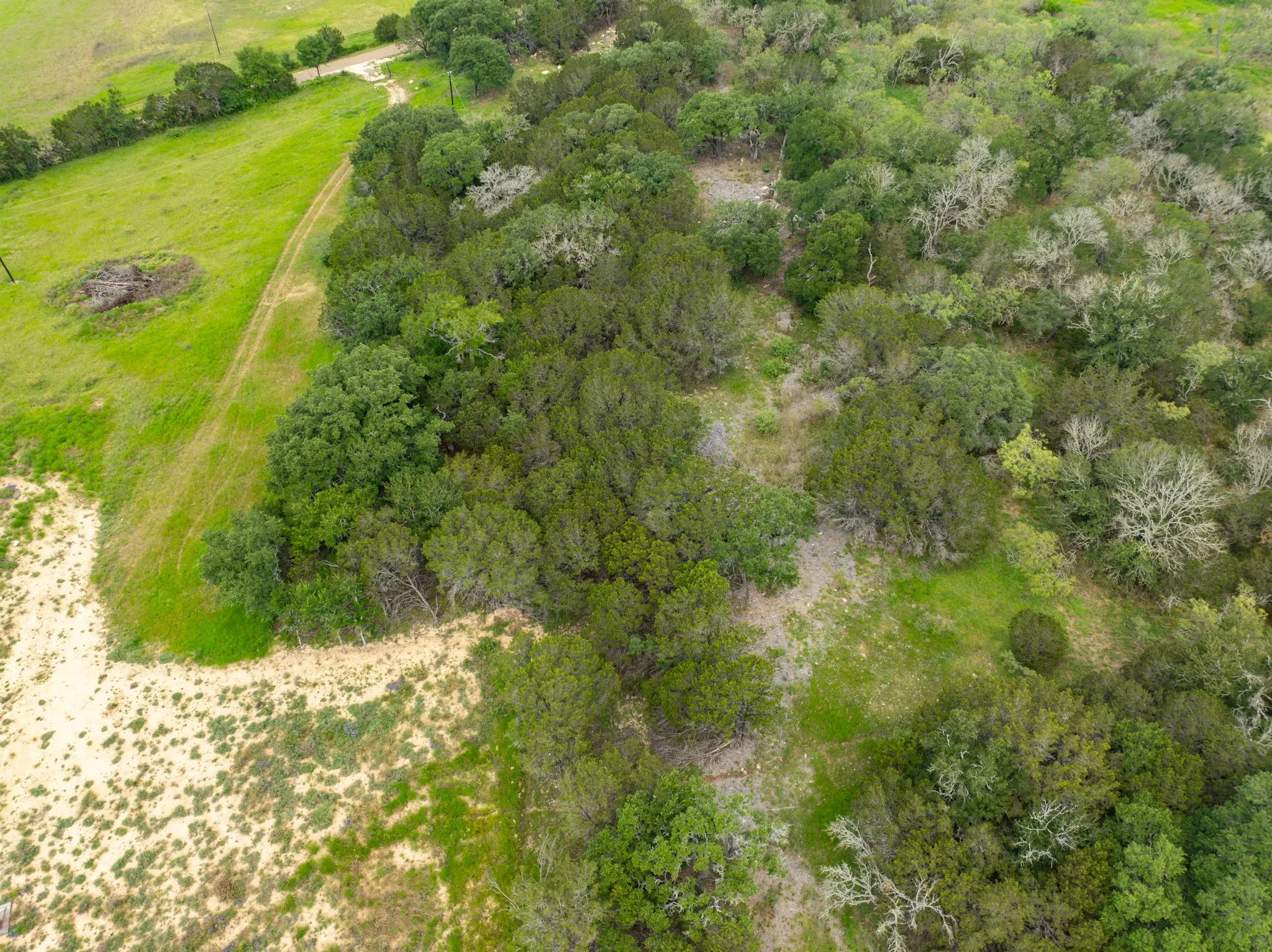 Unimproved Land For Sale in Coryell County , 1070 County Road 162, Evant, Texas 76525, 0, 0, Garage spaces, 0 Sqft, built in 0, Price $115,000, mls#21202466, Real Estate Agent in Evant, Homes For Sale in Coryell county, Homes For Sale in Evant, Realtor in Evant Texas, Real Estate Brokerage Independent Realty Texas, Luminita Cordes Realtor