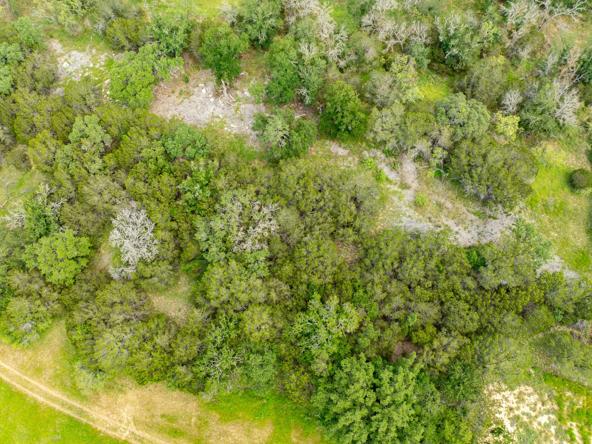 Unimproved Land For Sale in Coryell County , 1070 County Road 162, Evant, Texas 76525, 0, 0, Garage spaces, 0 Sqft, built in 0, Price $115,000, mls#21202466, Real Estate Agent in Evant, Homes For Sale in Coryell county, Homes For Sale in Evant, Realtor in Evant Texas, Real Estate Brokerage Independent Realty Texas, Luminita Cordes Realtor