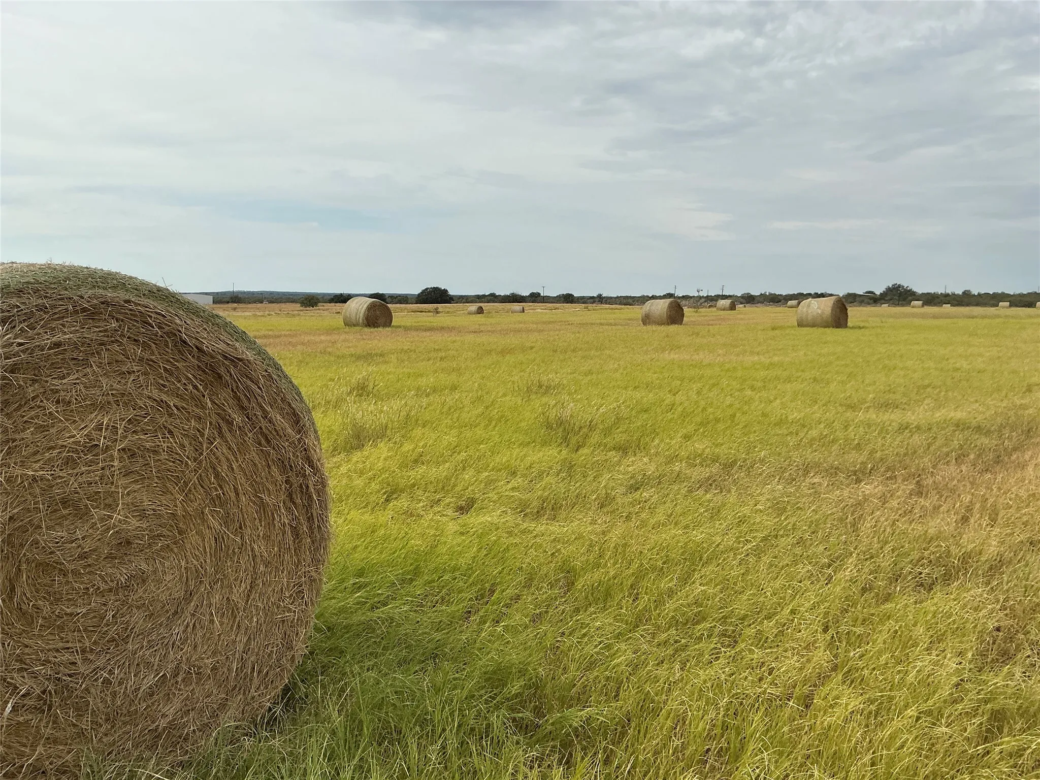 Ranch For Sale in San Saba County , 4315 CR 226, San Saba, Texas 76877, 0, 0, Garage spaces, 0 Sqft, built in 0, mls#21202464, Real Estate Agent in San Saba, Homes For Sale in San Saba county, Homes For Sale in San Saba, Realtor in San Saba Texas, Real Estate Brokerage Independent Realty Texas, Luminita Cordes Realtor