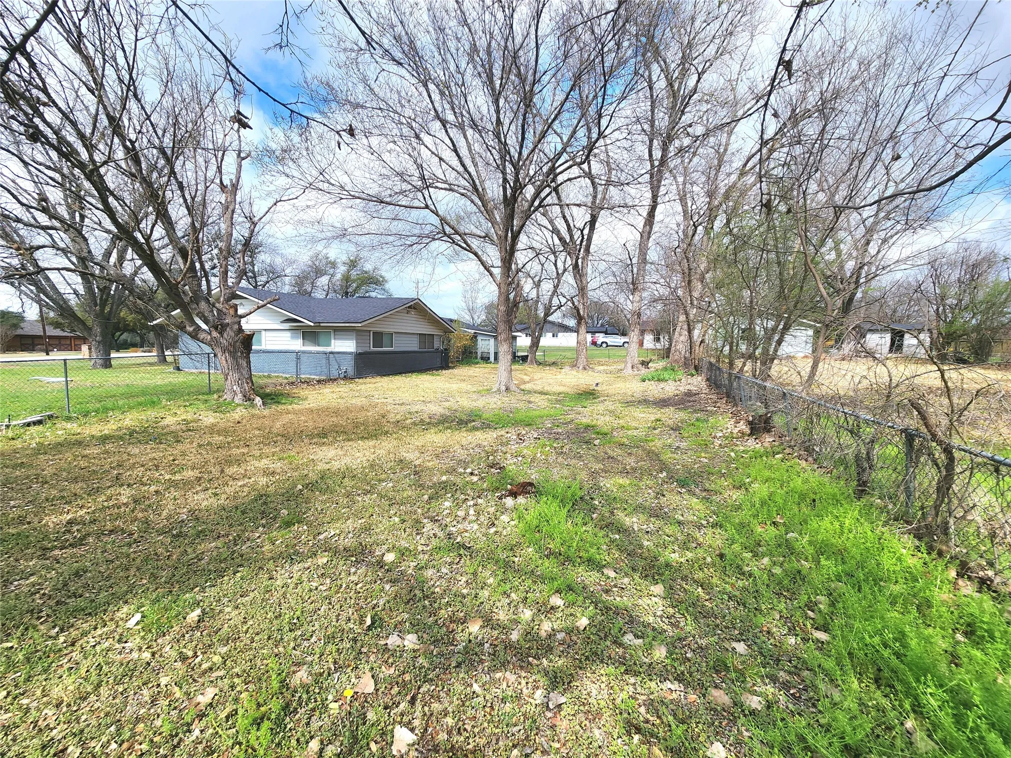 main back yard