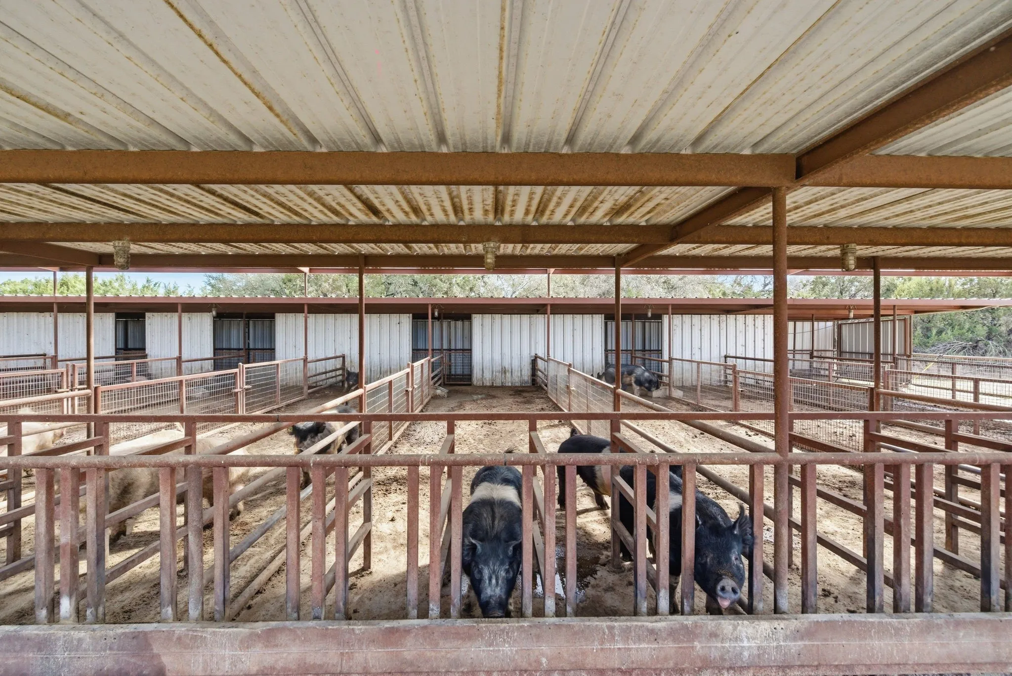 Improved Land For Sale in Parker County , 1601-A Stafford Road, Weatherford, Texas 76088, 0, 0, Garage spaces, 0 Sqft, built in 2021, mls#21201953, Real Estate Agent in Weatherford, Homes For Sale in Parker county, Homes For Sale in Weatherford, Realtor in Weatherford Texas, Real Estate Brokerage Independent Realty Texas, Luminita Cordes Realtor