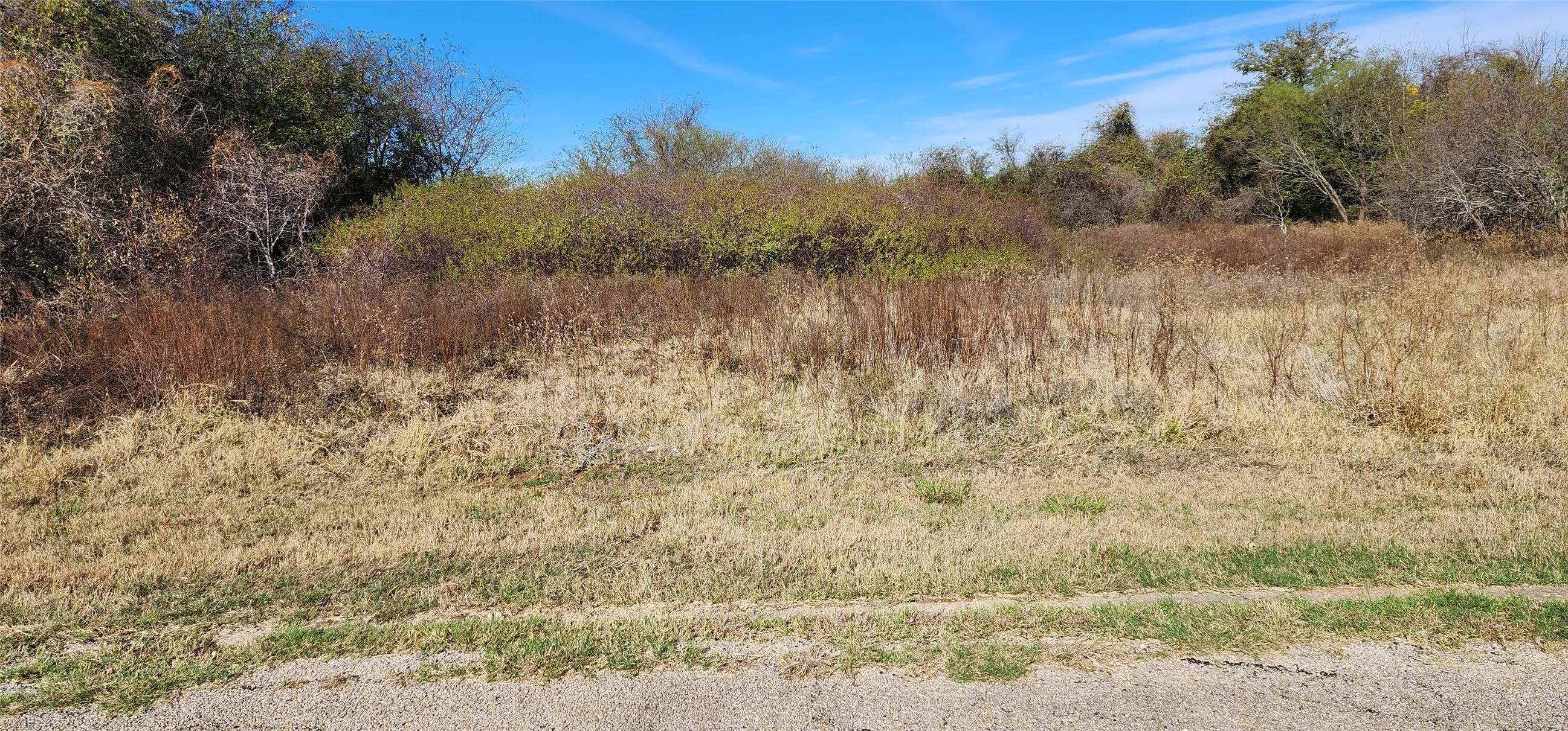 Unimproved Land For Sale in Hill County , 22283 Greenbriar Drive, Whitney, Texas 76692, 0, 0, Garage spaces, 0 Sqft, built in 0, mls#21202707, Real Estate Agent in Whitney, Homes For Sale in Hill county, Homes For Sale in Whitney, Realtor in Whitney Texas, Real Estate Brokerage Independent Realty Texas, Luminita Cordes Realtor