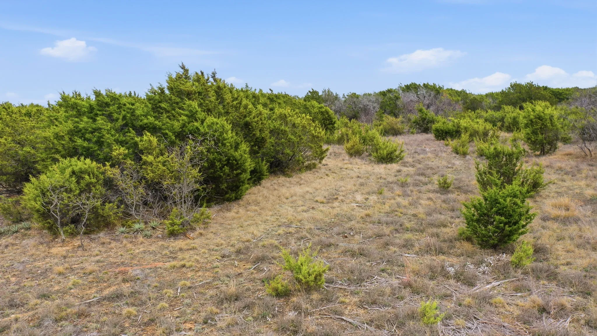 Improved Land For Sale in Erath County , Lot 11 Mesa Vista Drive, Stephenville, Texas 76401, 0, 0, Garage spaces, 0 Sqft, built in 0, mls#21196518, Real Estate Agent in Stephenville, Homes For Sale in Erath county, Homes For Sale in Stephenville, Realtor in Stephenville Texas, Real Estate Brokerage Independent Realty Texas, Luminita Cordes Realtor