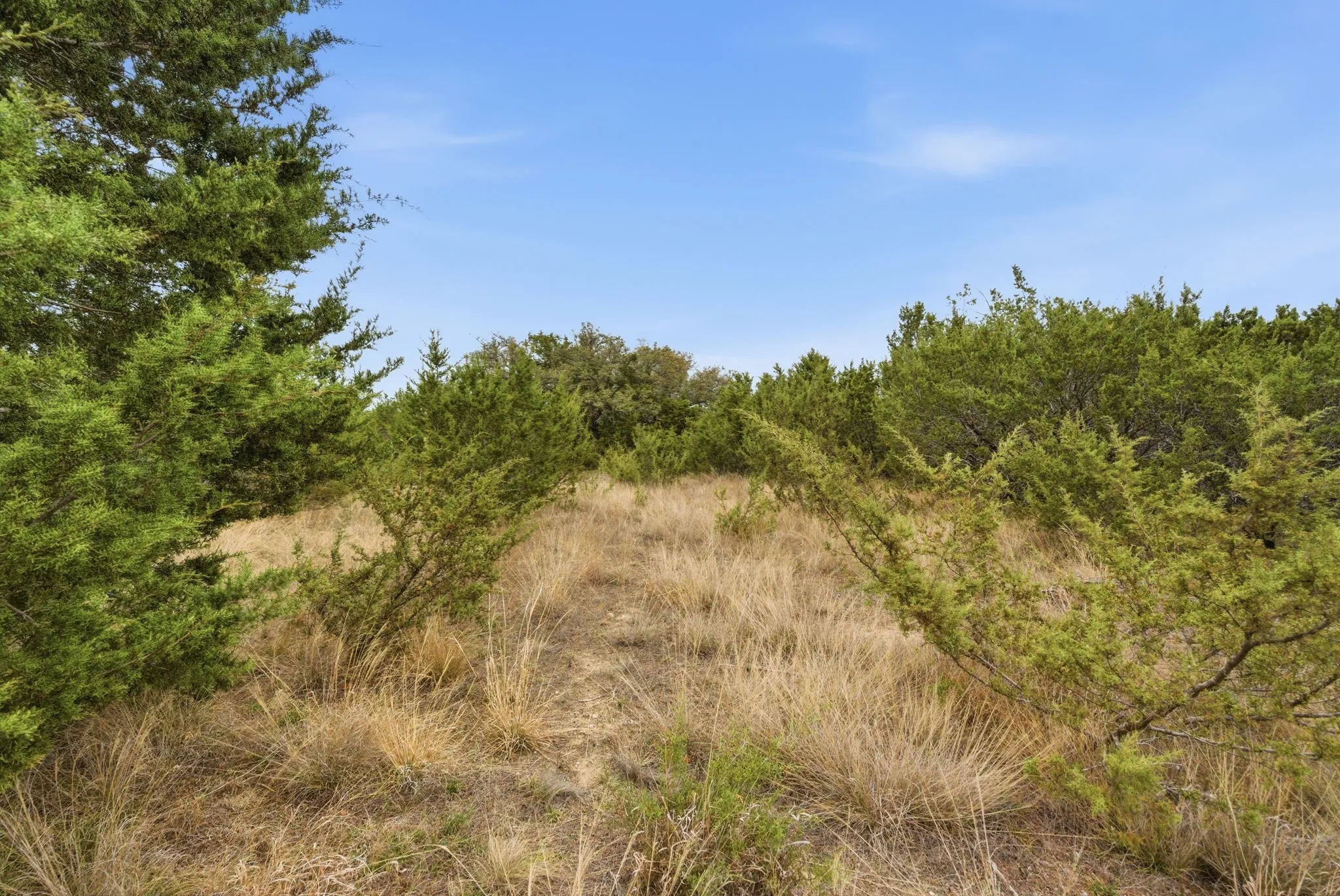 Improved Land For Sale in Erath County , Lot 11 Mesa Vista Drive, Stephenville, Texas 76401, 0, 0, Garage spaces, 0 Sqft, built in 0, mls#21196518, Real Estate Agent in Stephenville, Homes For Sale in Erath county, Homes For Sale in Stephenville, Realtor in Stephenville Texas, Real Estate Brokerage Independent Realty Texas, Luminita Cordes Realtor