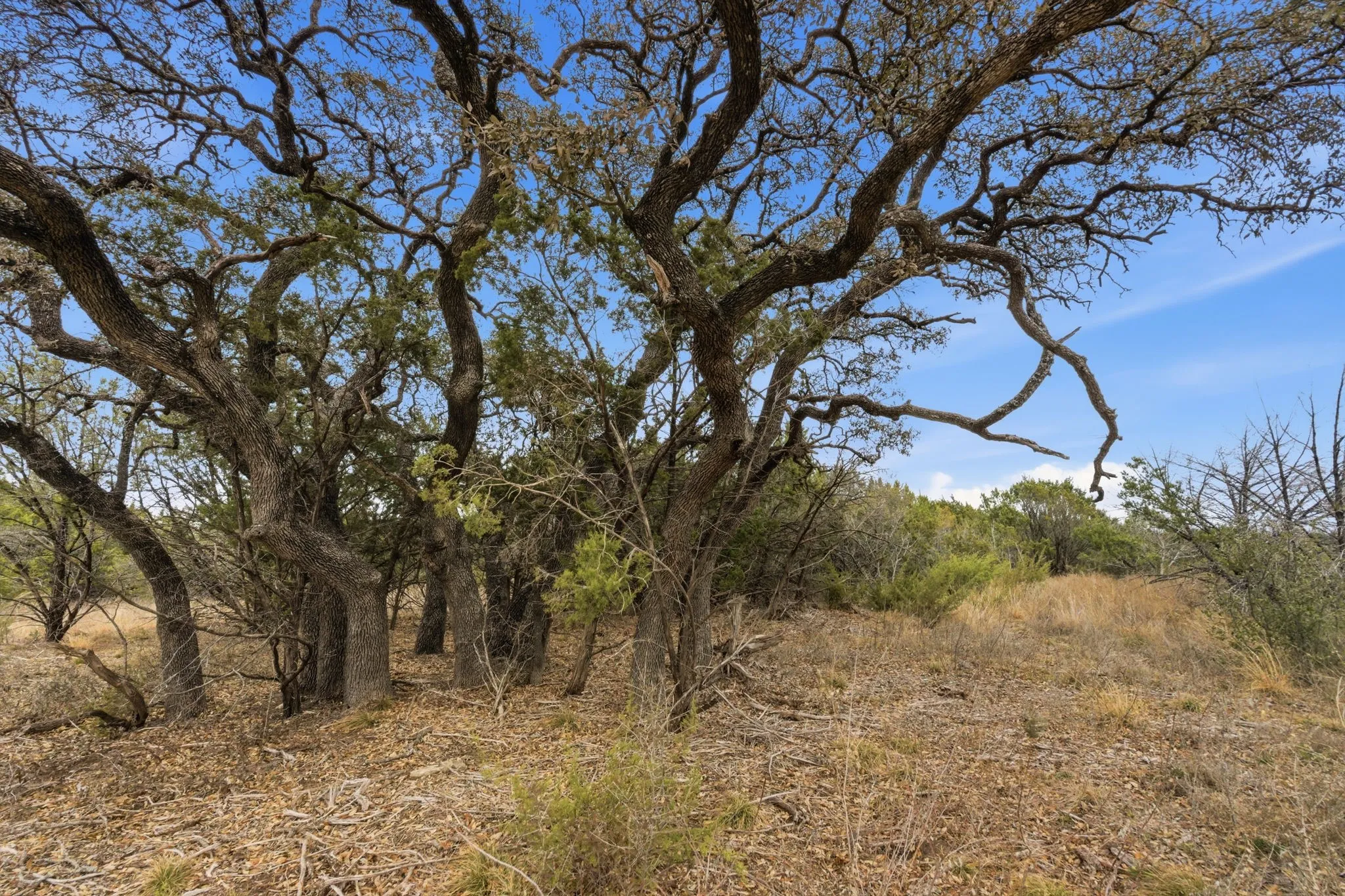 Improved Land For Sale in Erath County , Lot 11 Mesa Vista Drive, Stephenville, Texas 76401, 0, 0, Garage spaces, 0 Sqft, built in 0, mls#21196518, Real Estate Agent in Stephenville, Homes For Sale in Erath county, Homes For Sale in Stephenville, Realtor in Stephenville Texas, Real Estate Brokerage Independent Realty Texas, Luminita Cordes Realtor